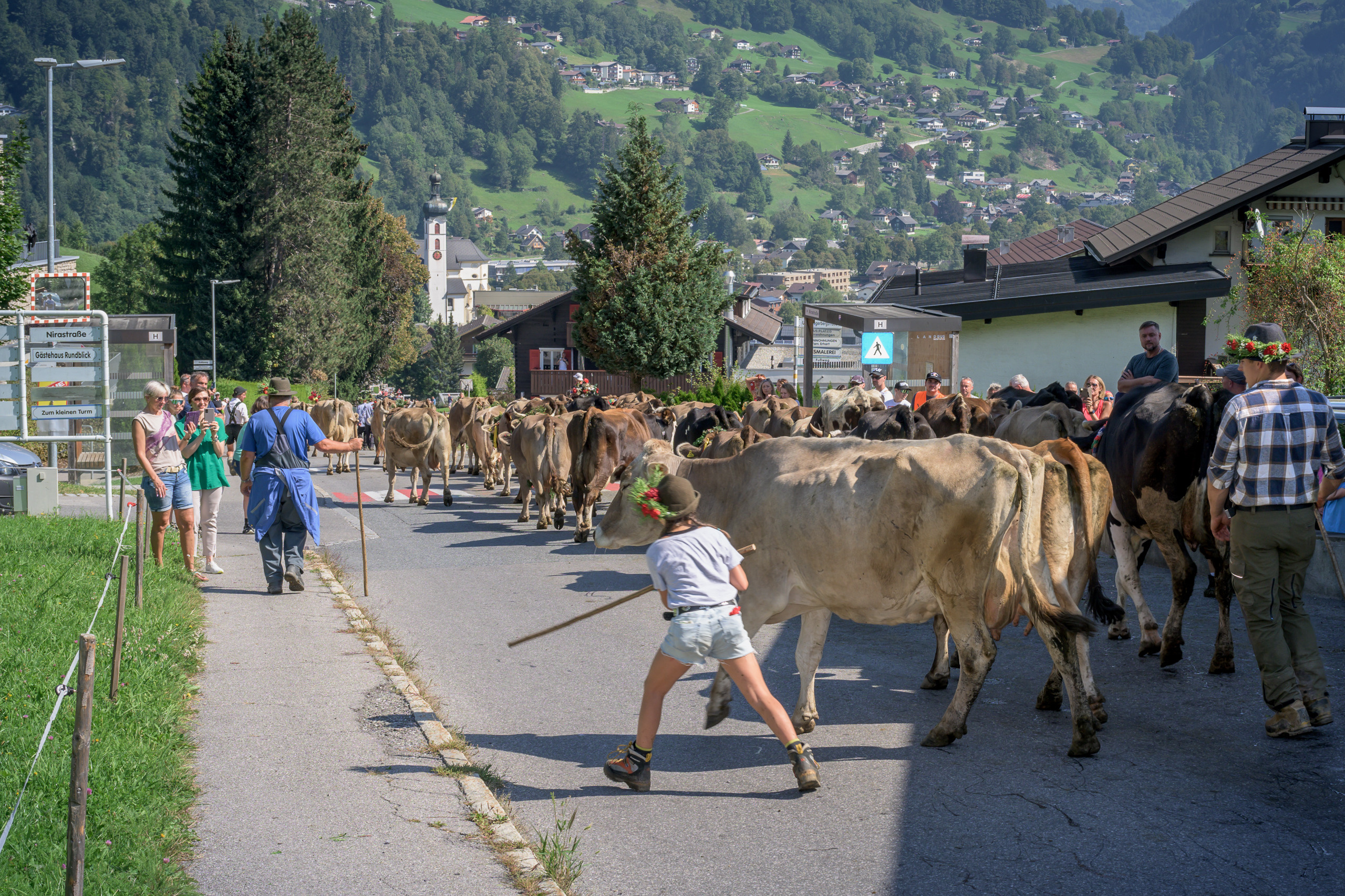 Alpabtrieb in Tschagguns, Montafon
