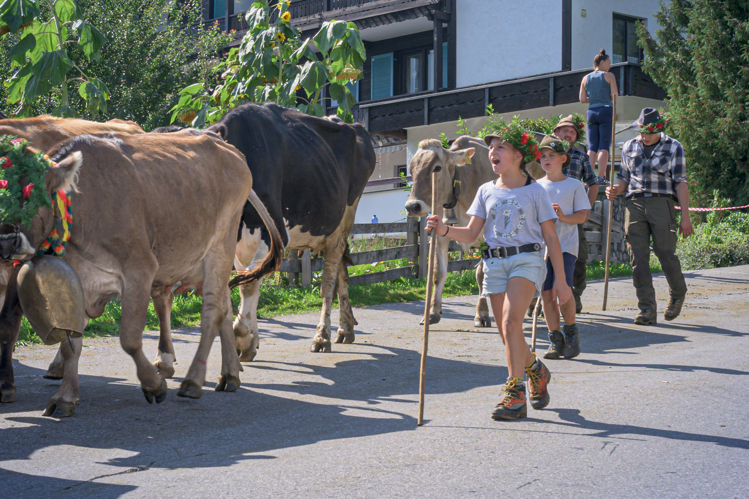 Alpabtrieb in Tschagguns, Montafon