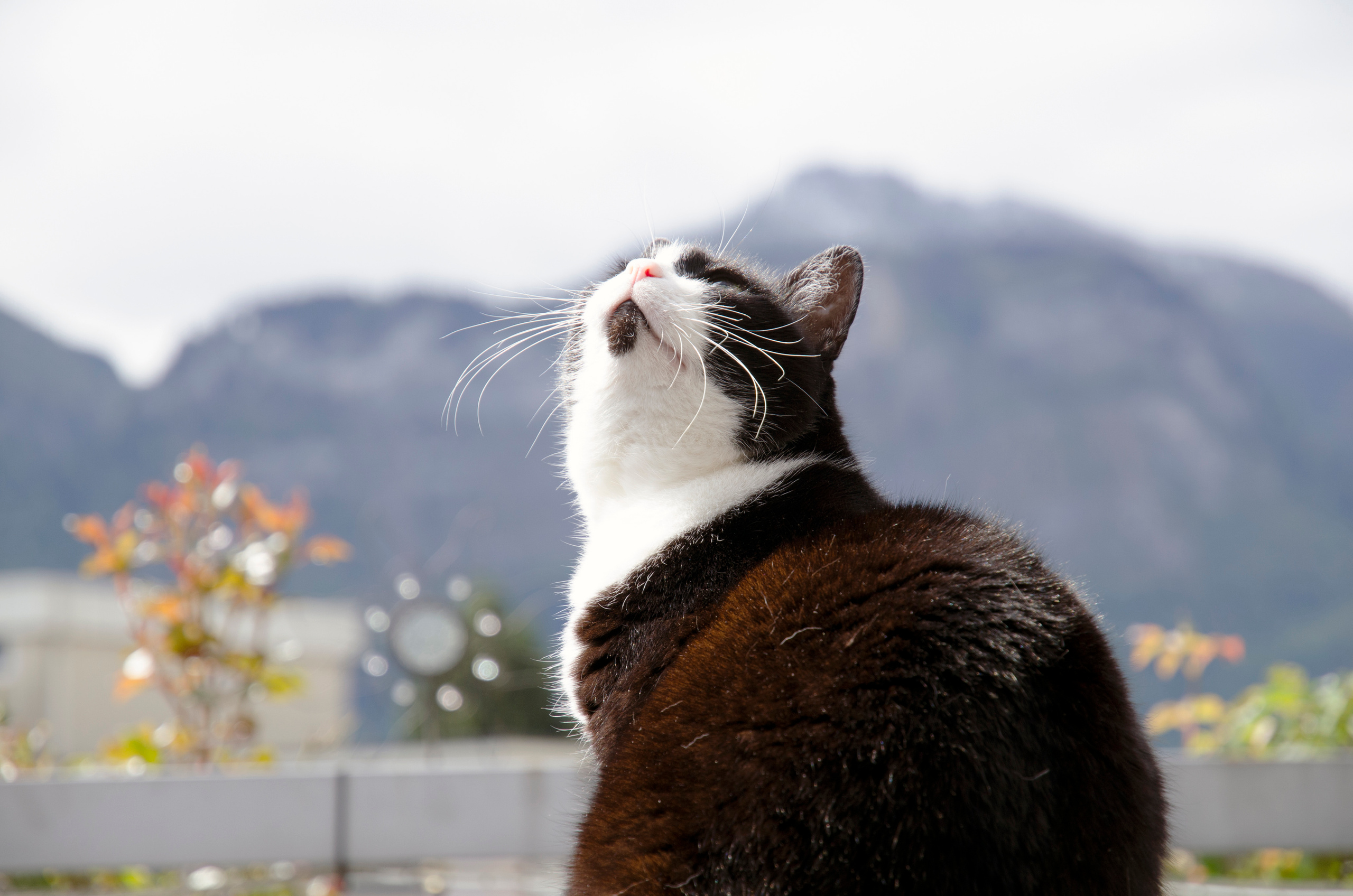 Portrait- und Content Fotograf im DACH-Raum Jack Dovgani