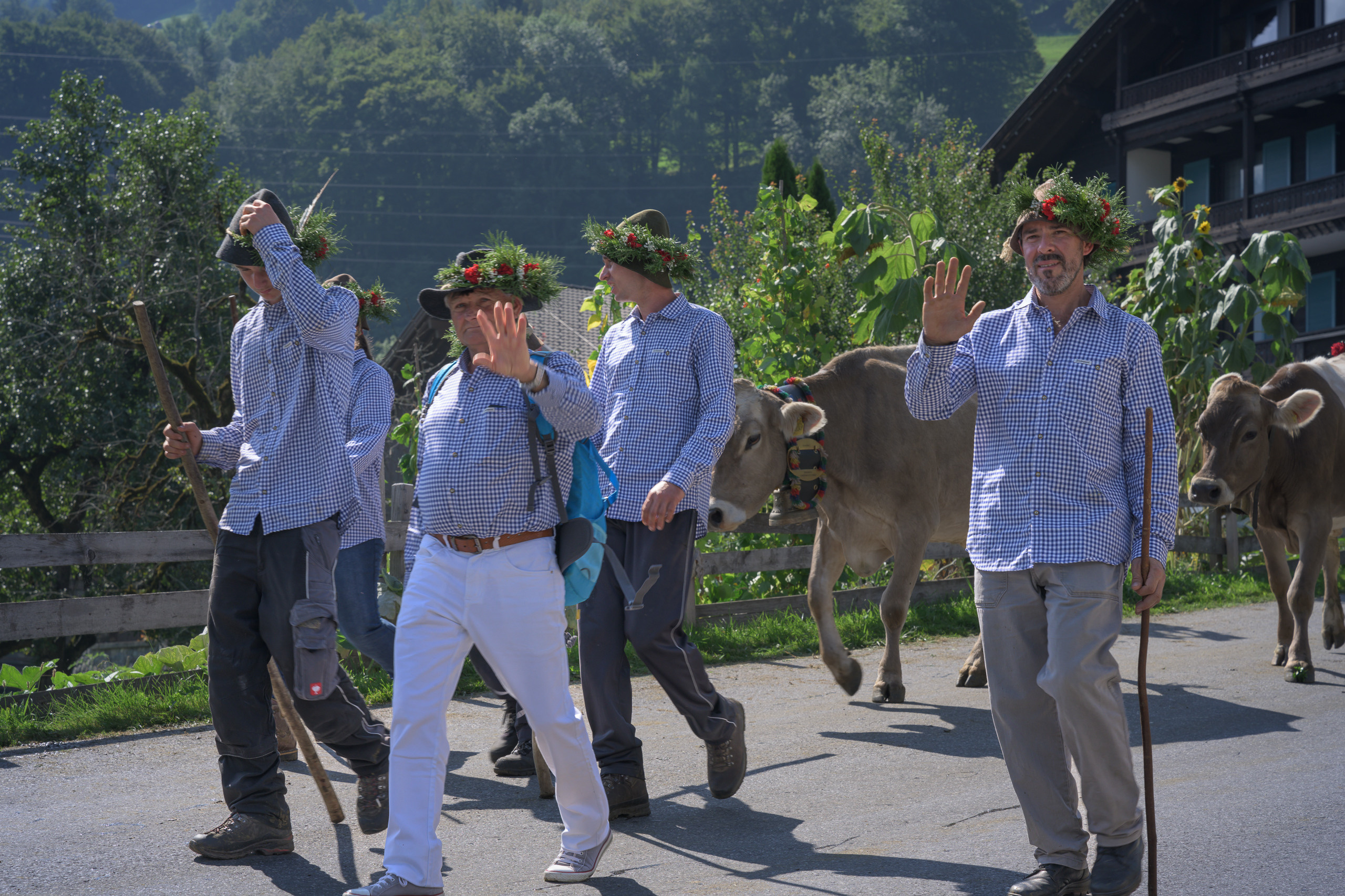 Alpabtrieb in Tschagguns, Montafon