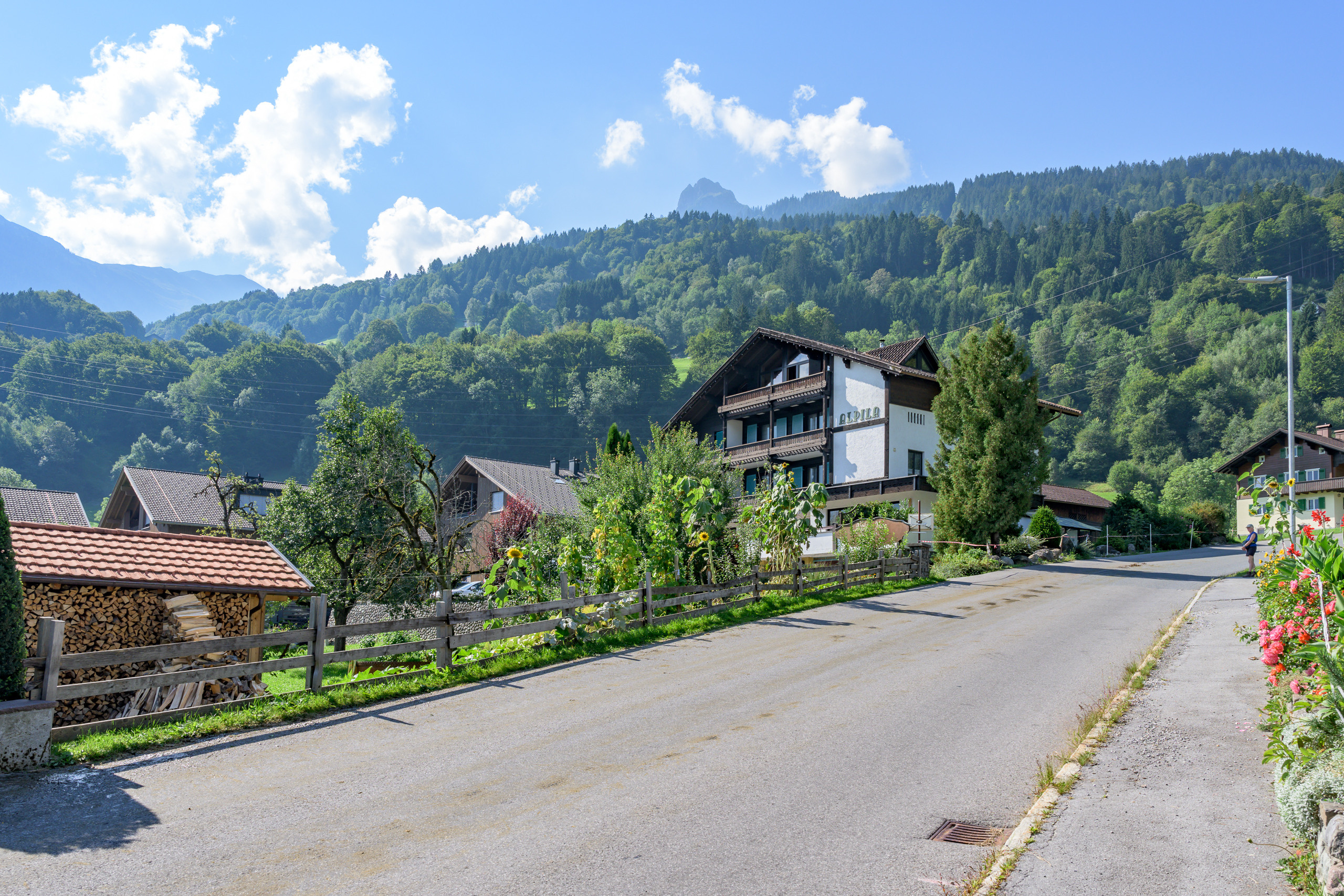 Alpabtrieb in Tschagguns, Montafon