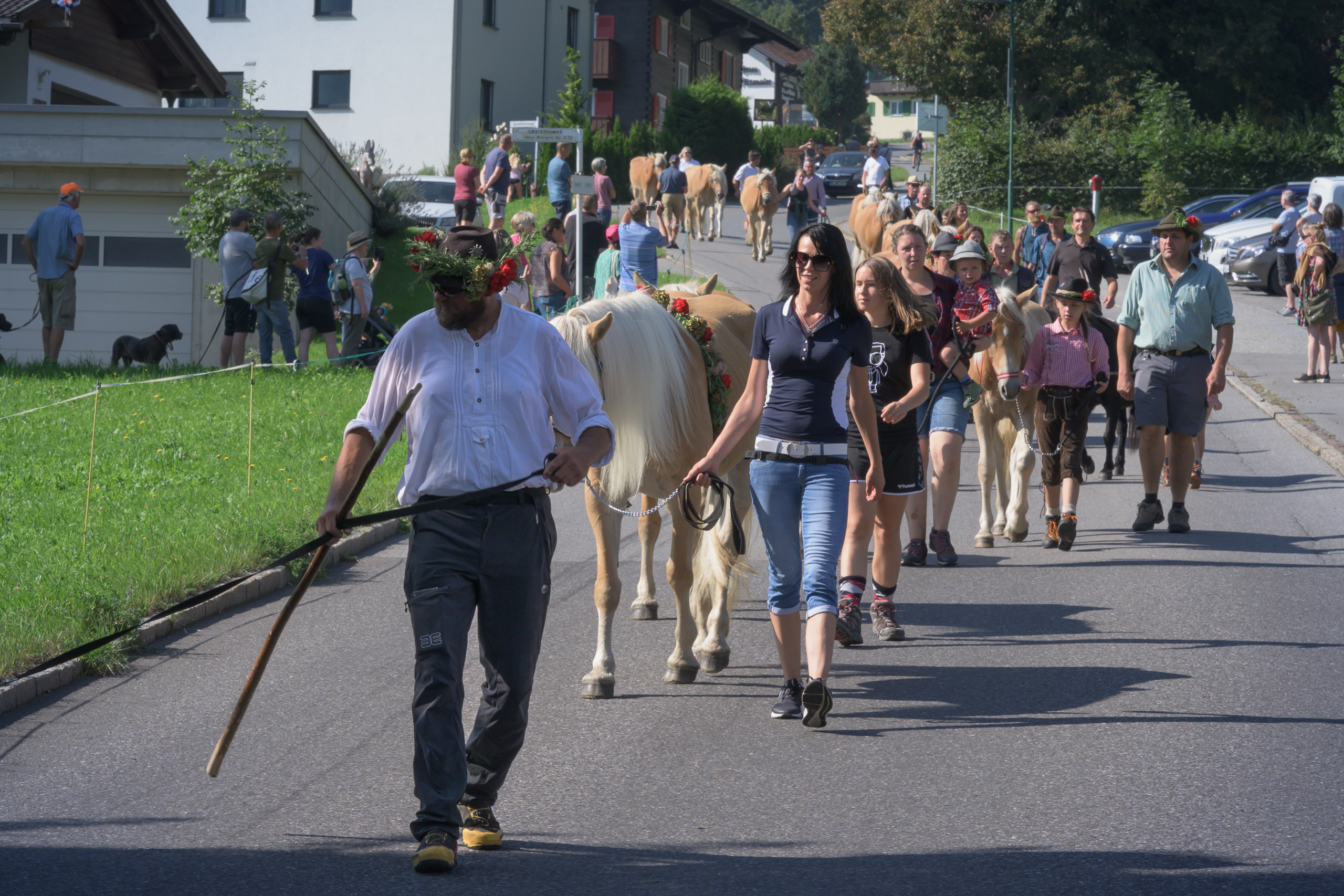 Alpabtrieb in Tschagguns, Montafon