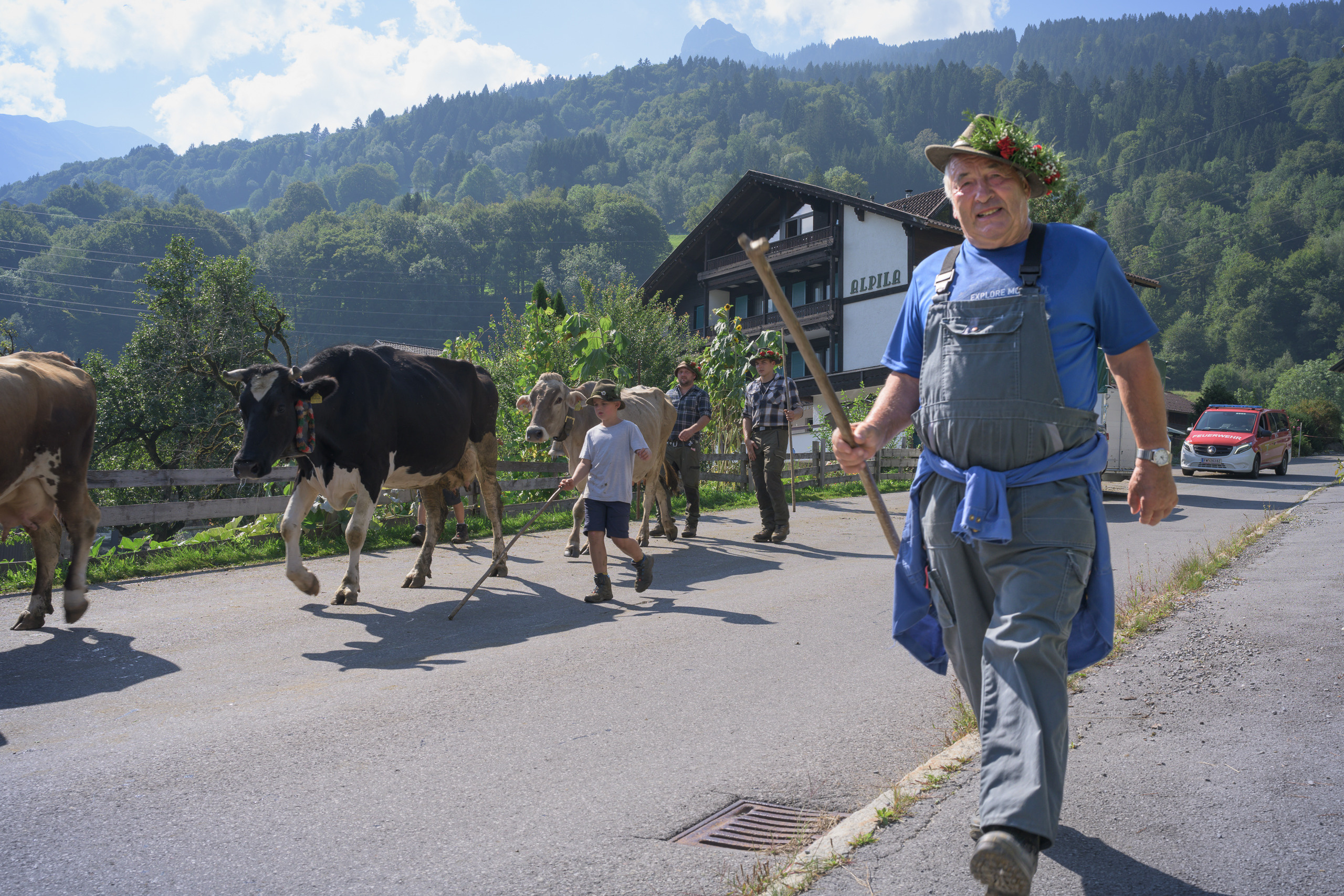 Alpabtrieb in Tschagguns, Montafon