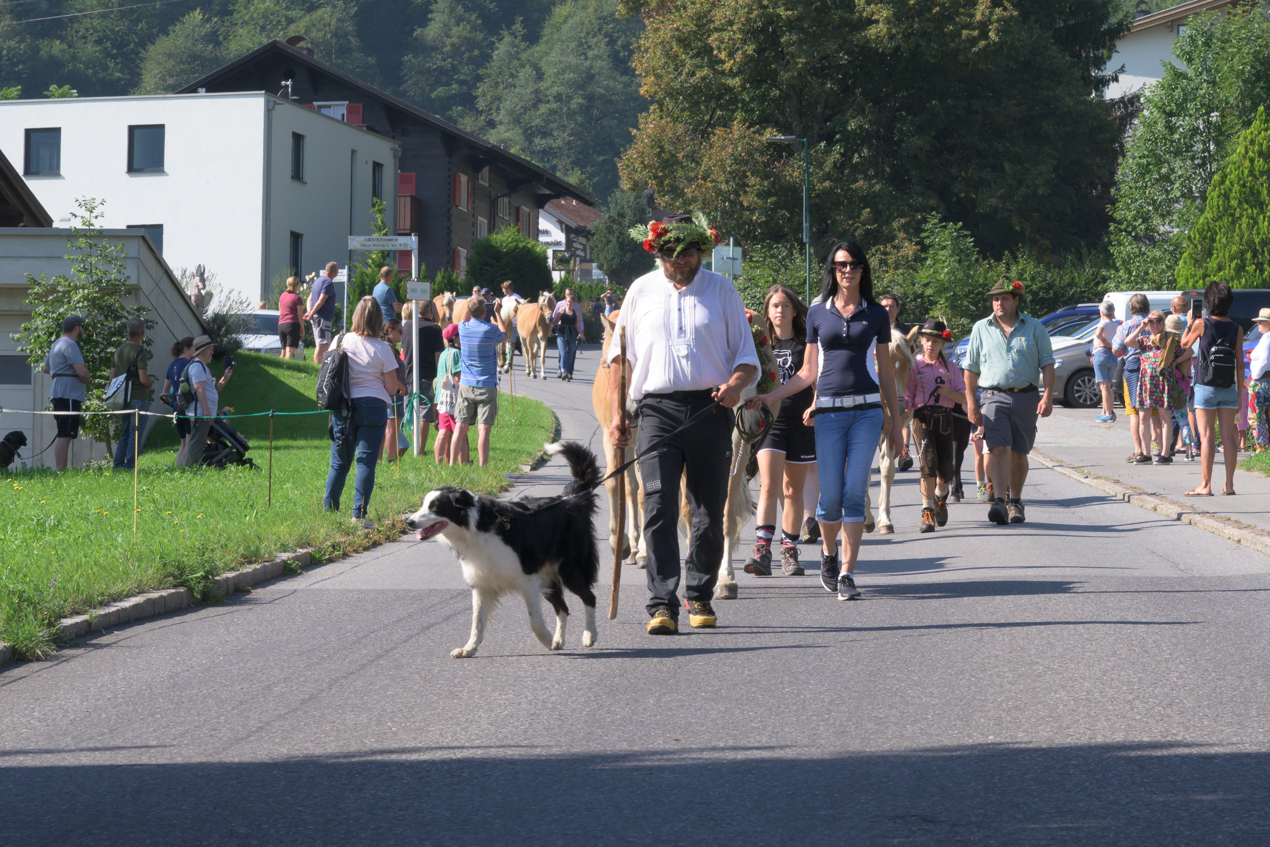 Alpabtrieb in Tschagguns, Montafon