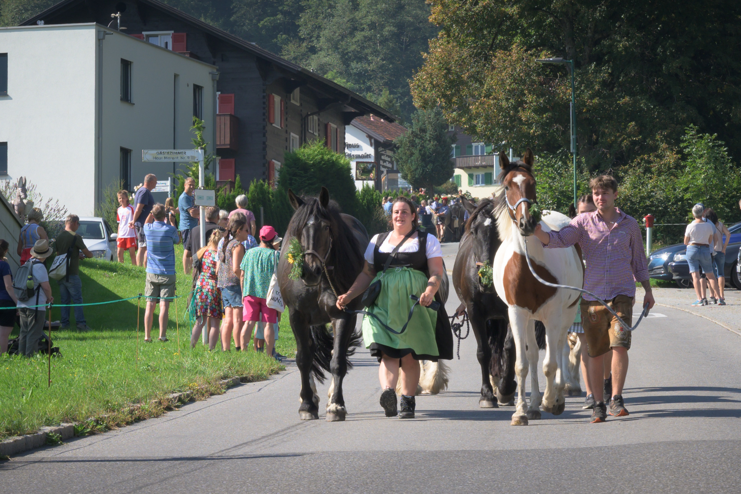 Alpabtrieb in Tschagguns, Montafon
