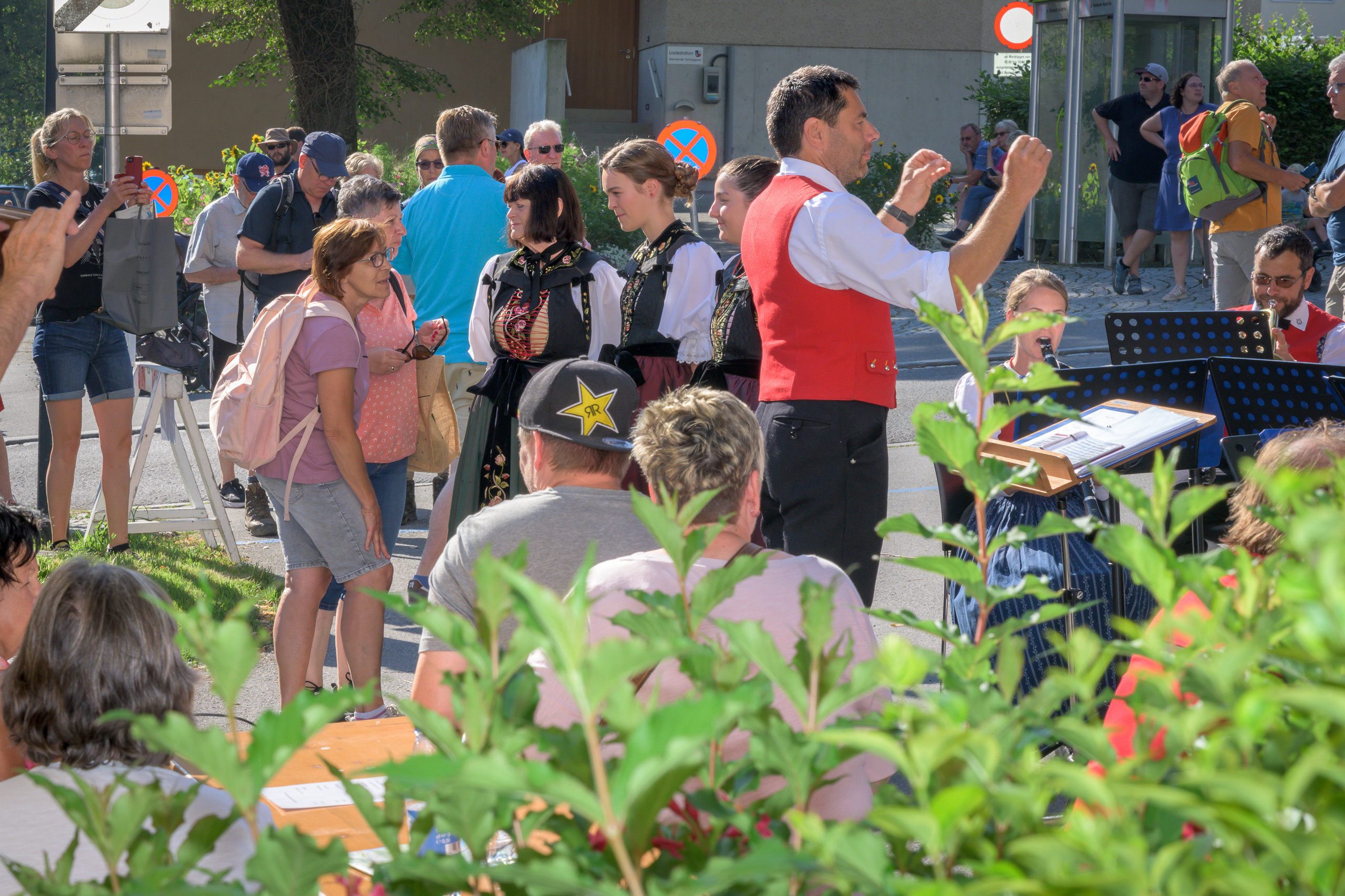 Alpabtrieb in Tschagguns, Montafon
