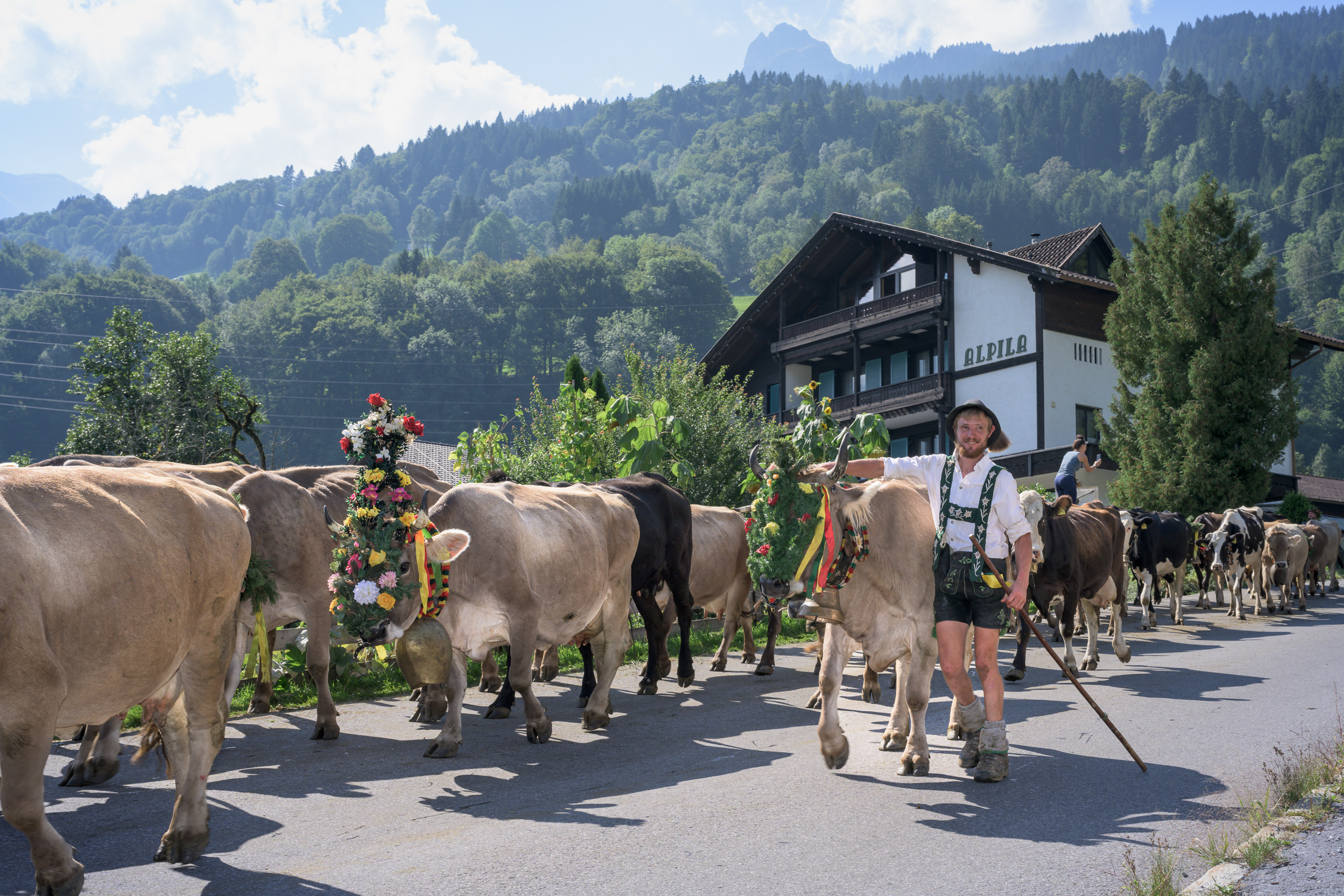 Alpabtrieb in Tschagguns, Montafon