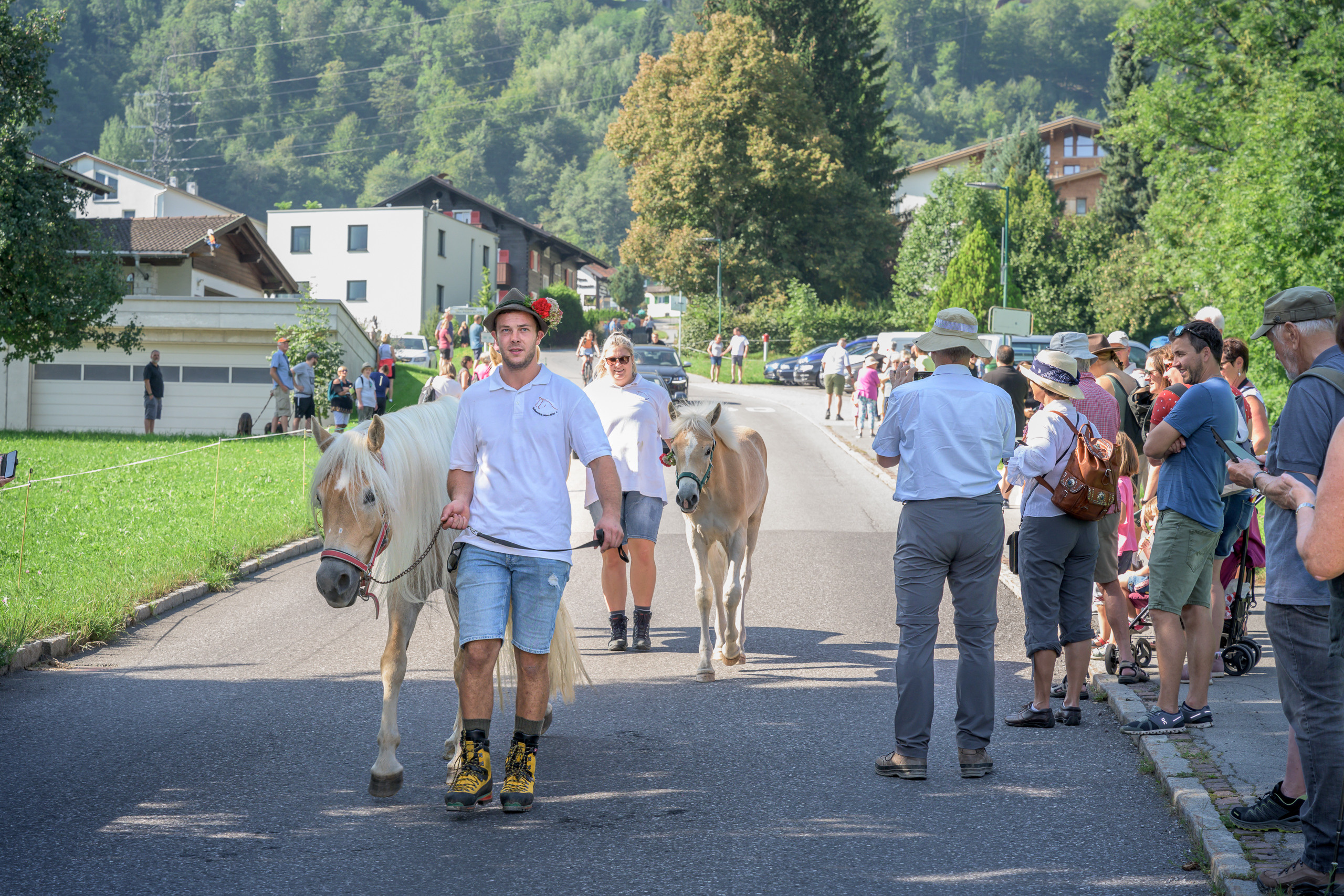 Alpabtrieb in Tschagguns, Montafon