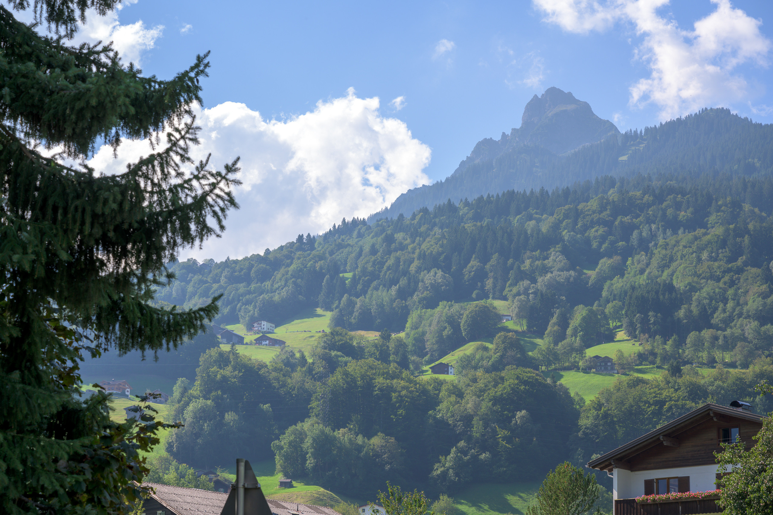 Alpabtrieb in Tschagguns, Montafon