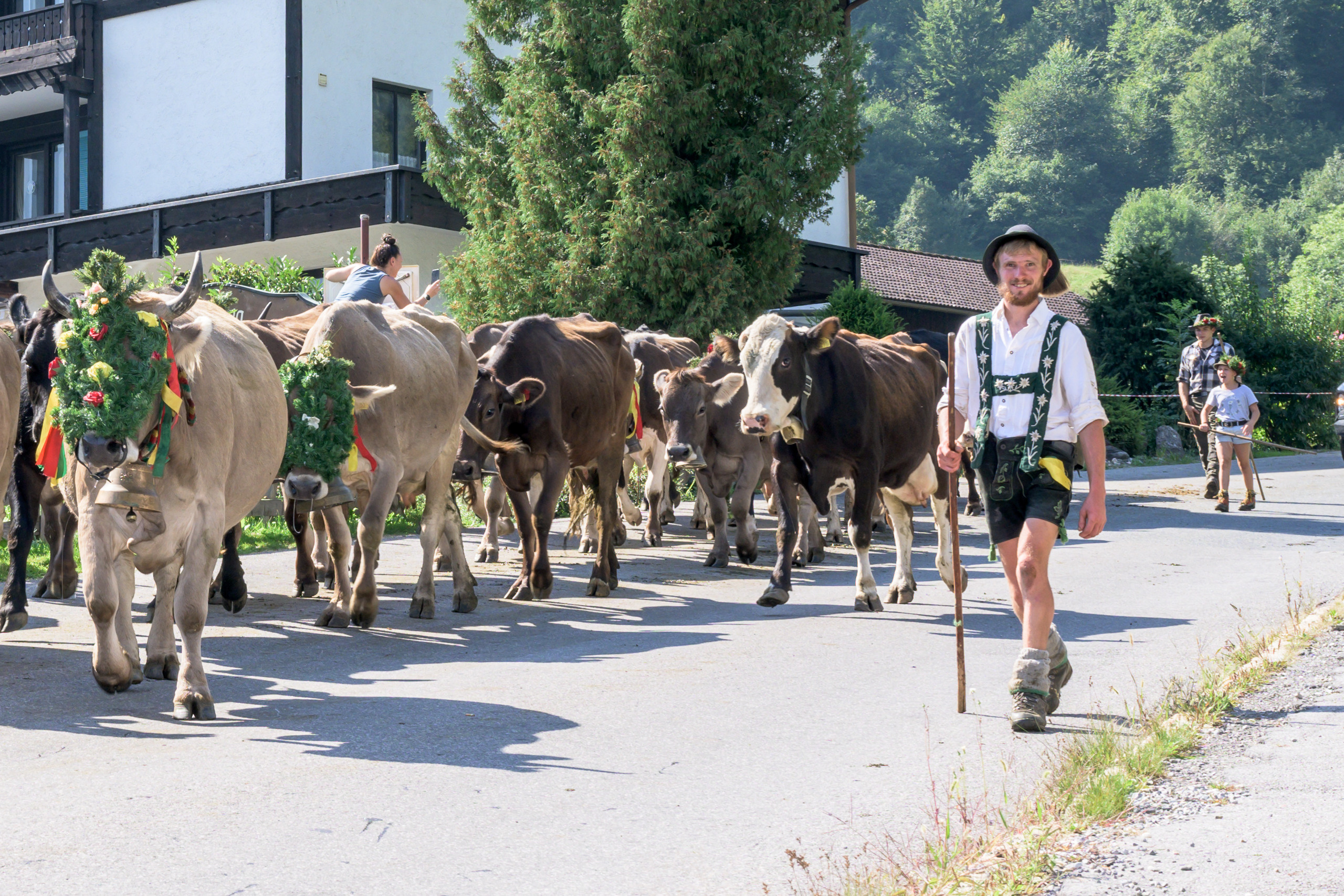 Alpabtrieb in Tschagguns, Montafon