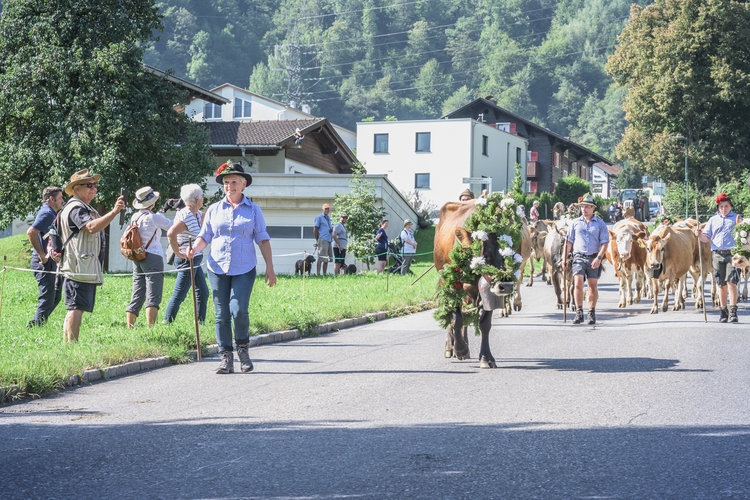 Alpabtrieb in Tschagguns, Montafon