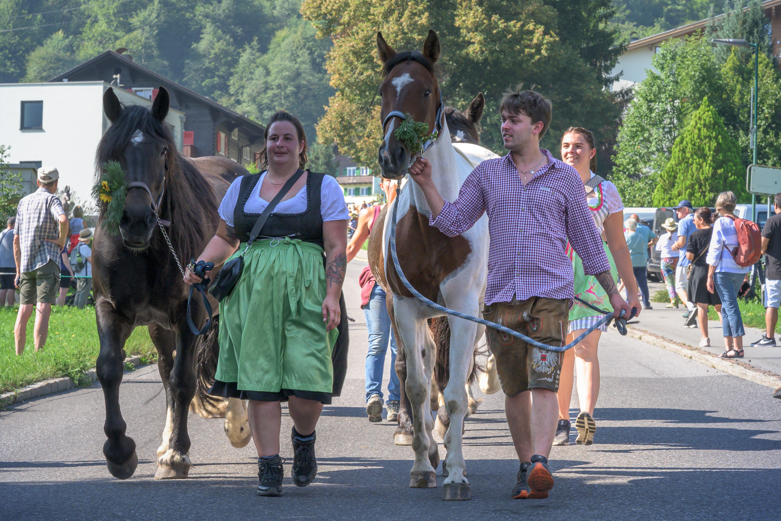 Alpabtrieb in Tschagguns, Montafon