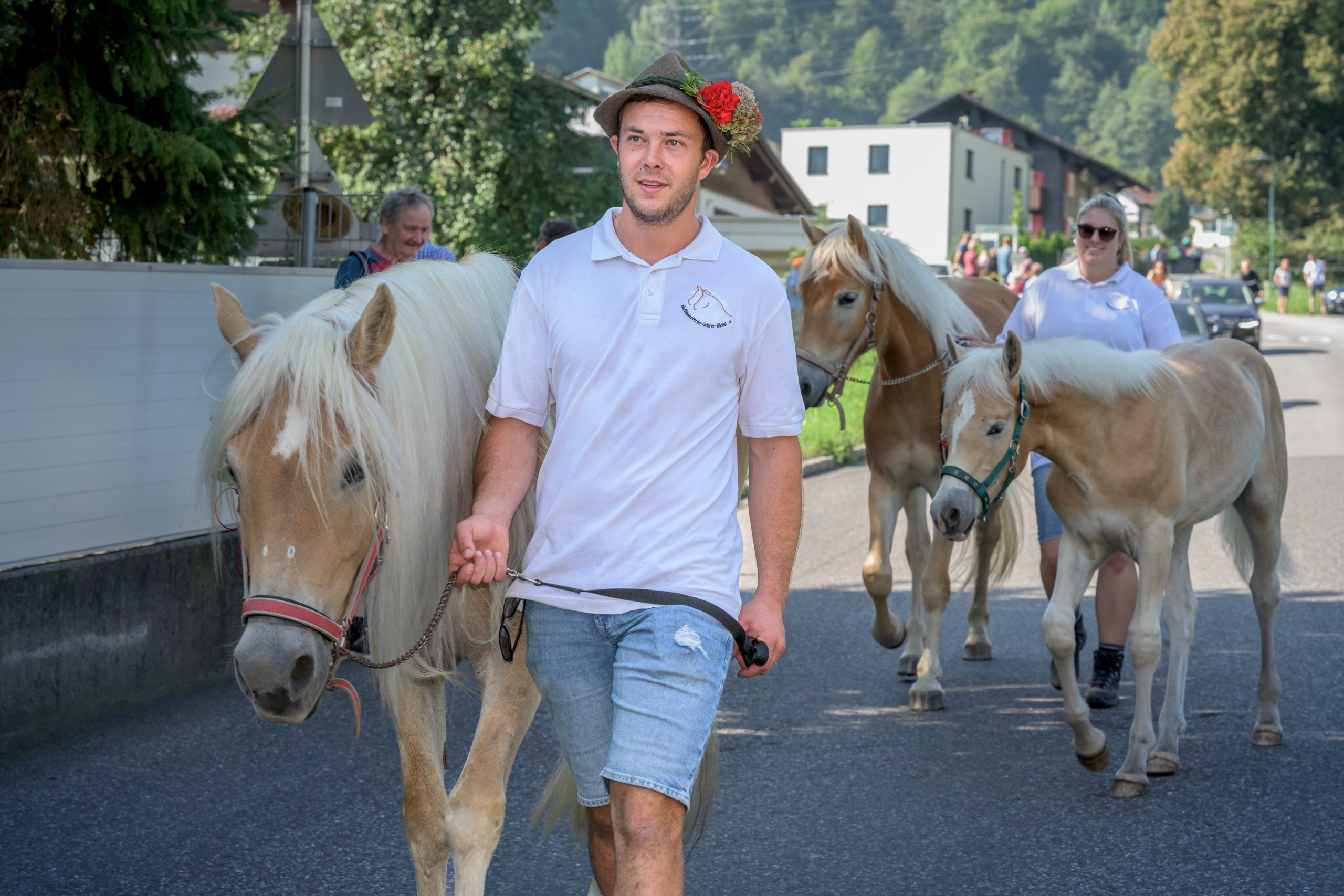 Alpabtrieb in Tschagguns, Montafon