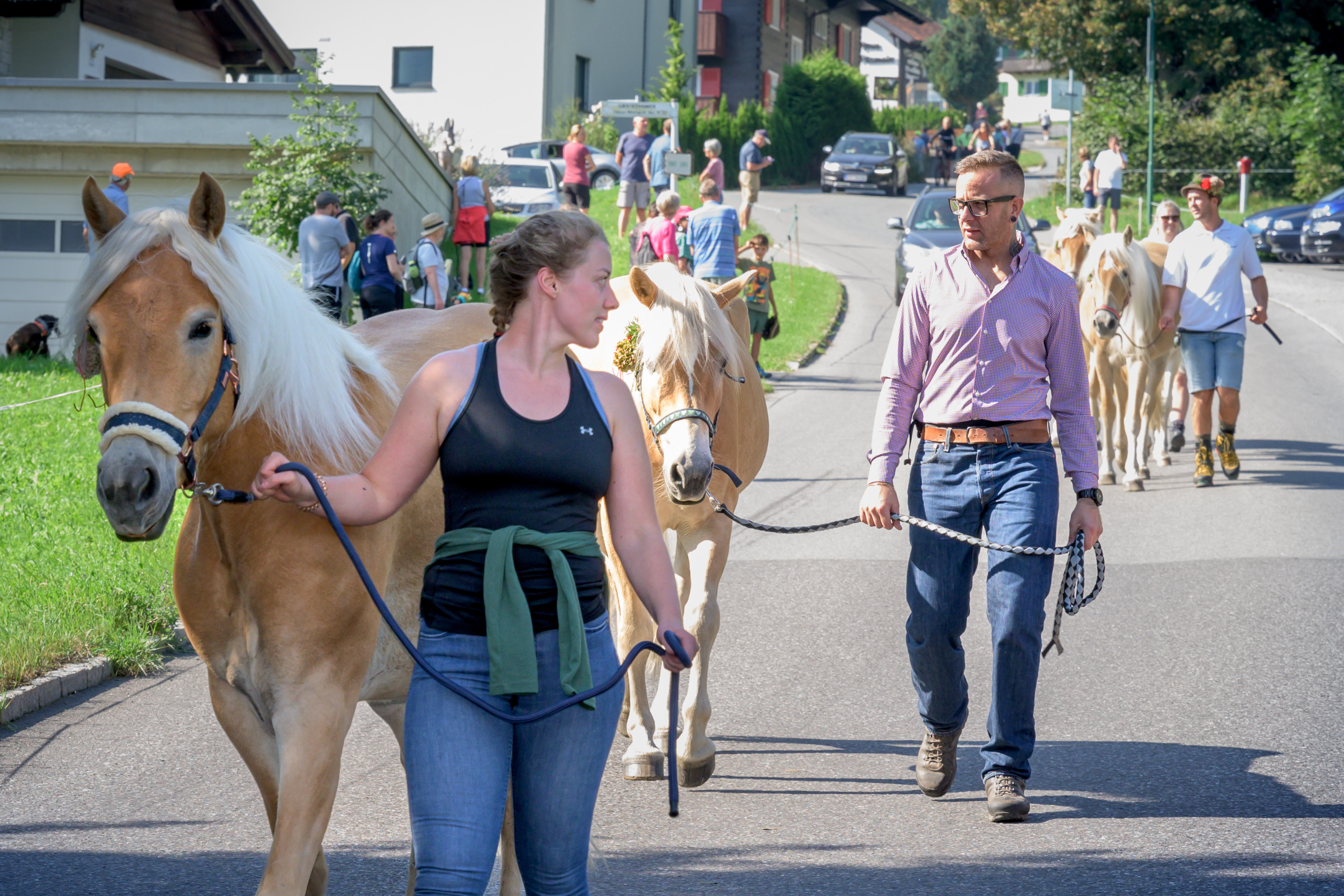 Alpabtrieb in Tschagguns, Montafon
