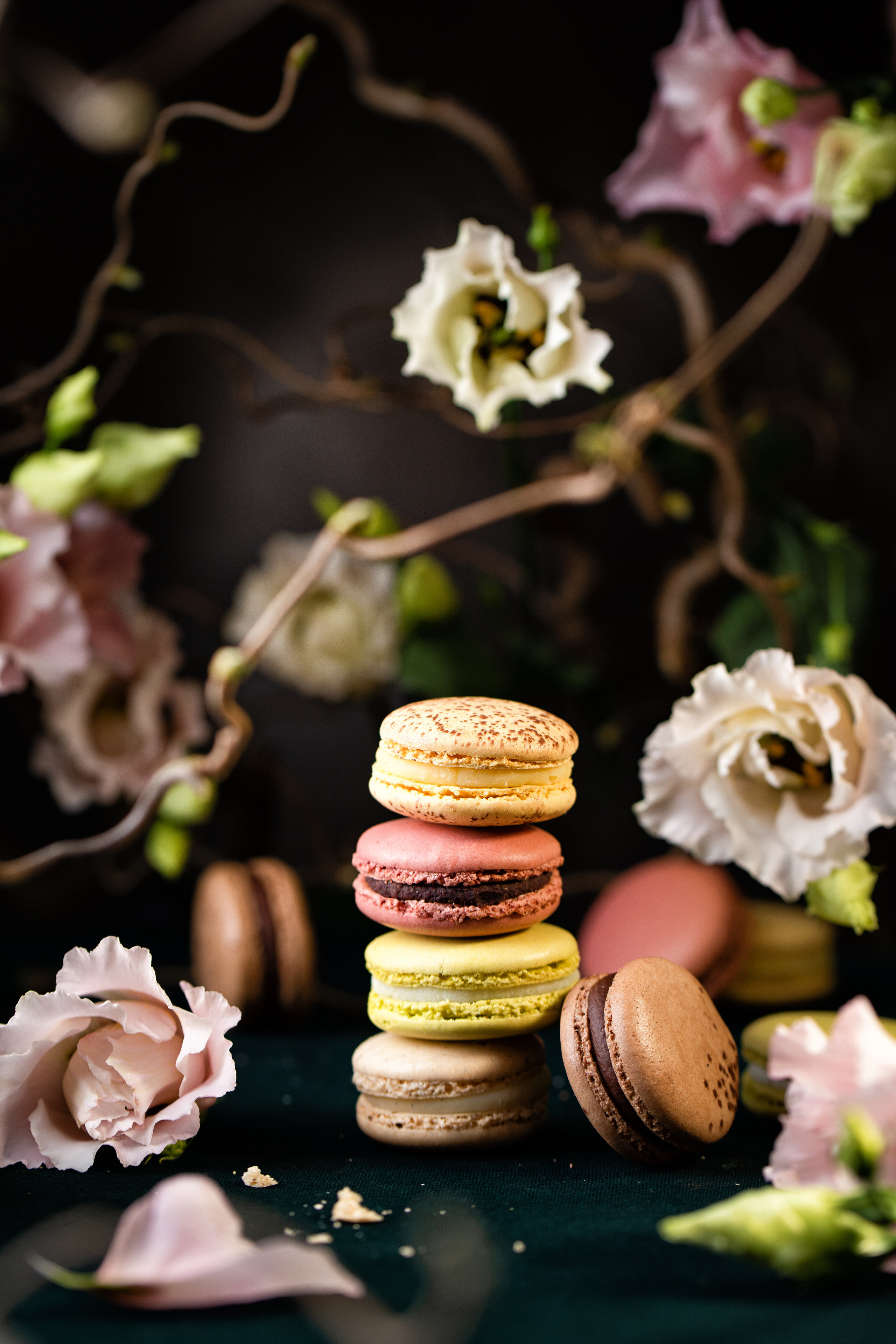 kreatives Foto Macarons  für Patisserie als Content Fotografie