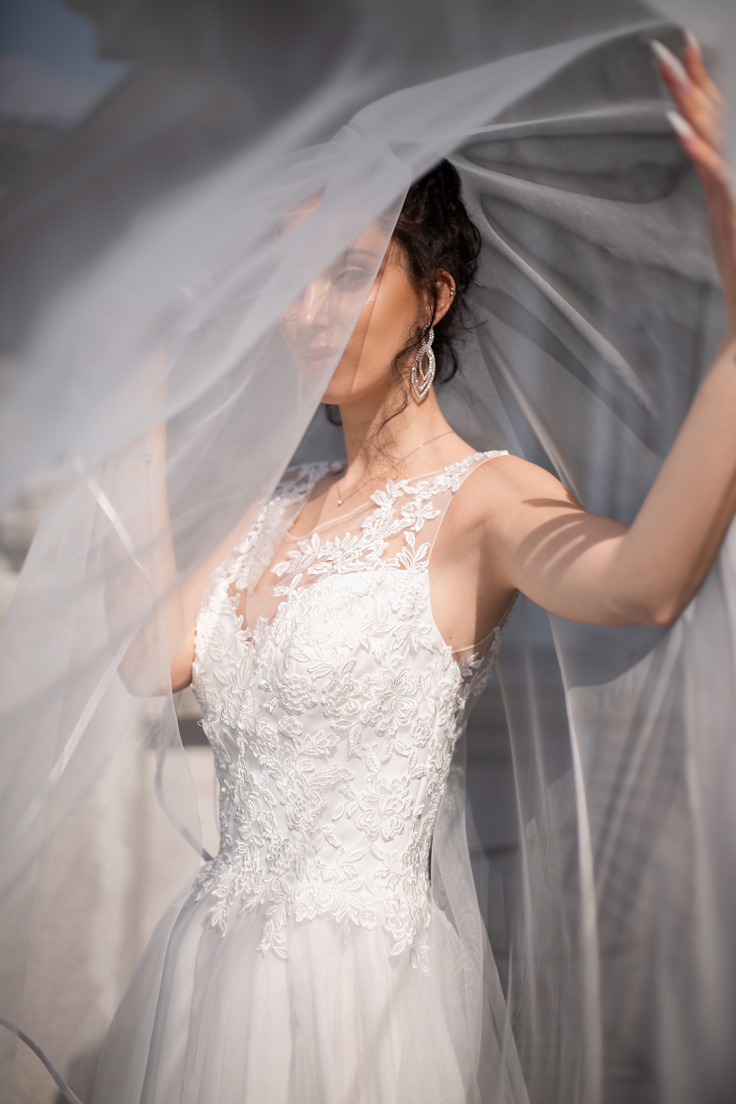 photo with veil for bride