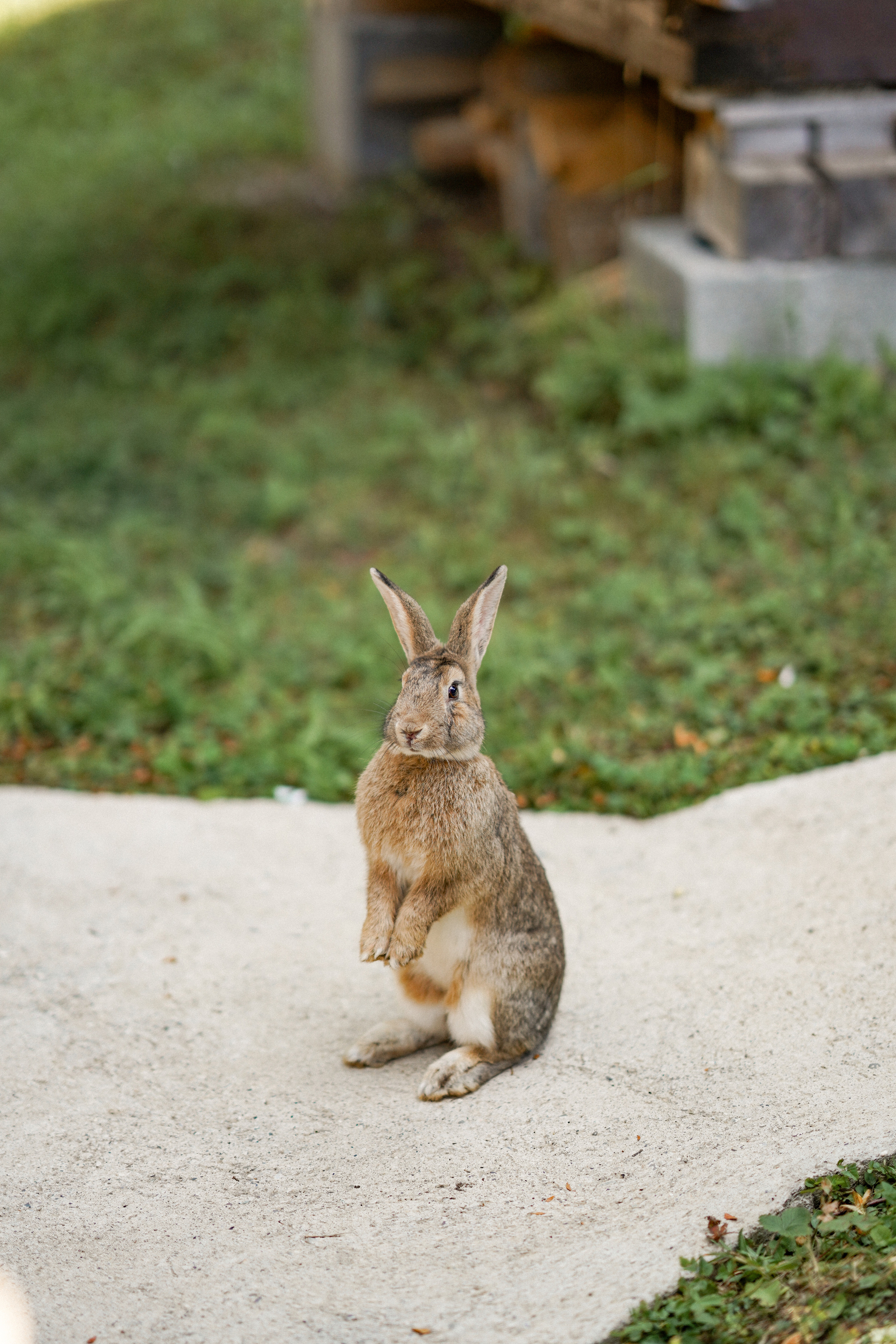 Het Nationaal Park Prokletje in Montenegro