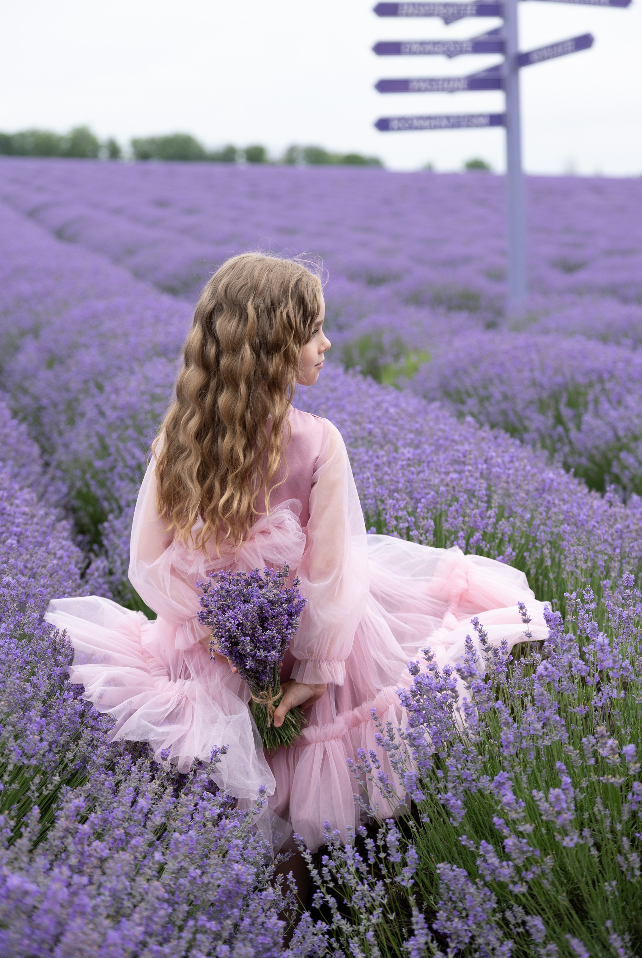 Portrait and Family Photographer in Netherlands