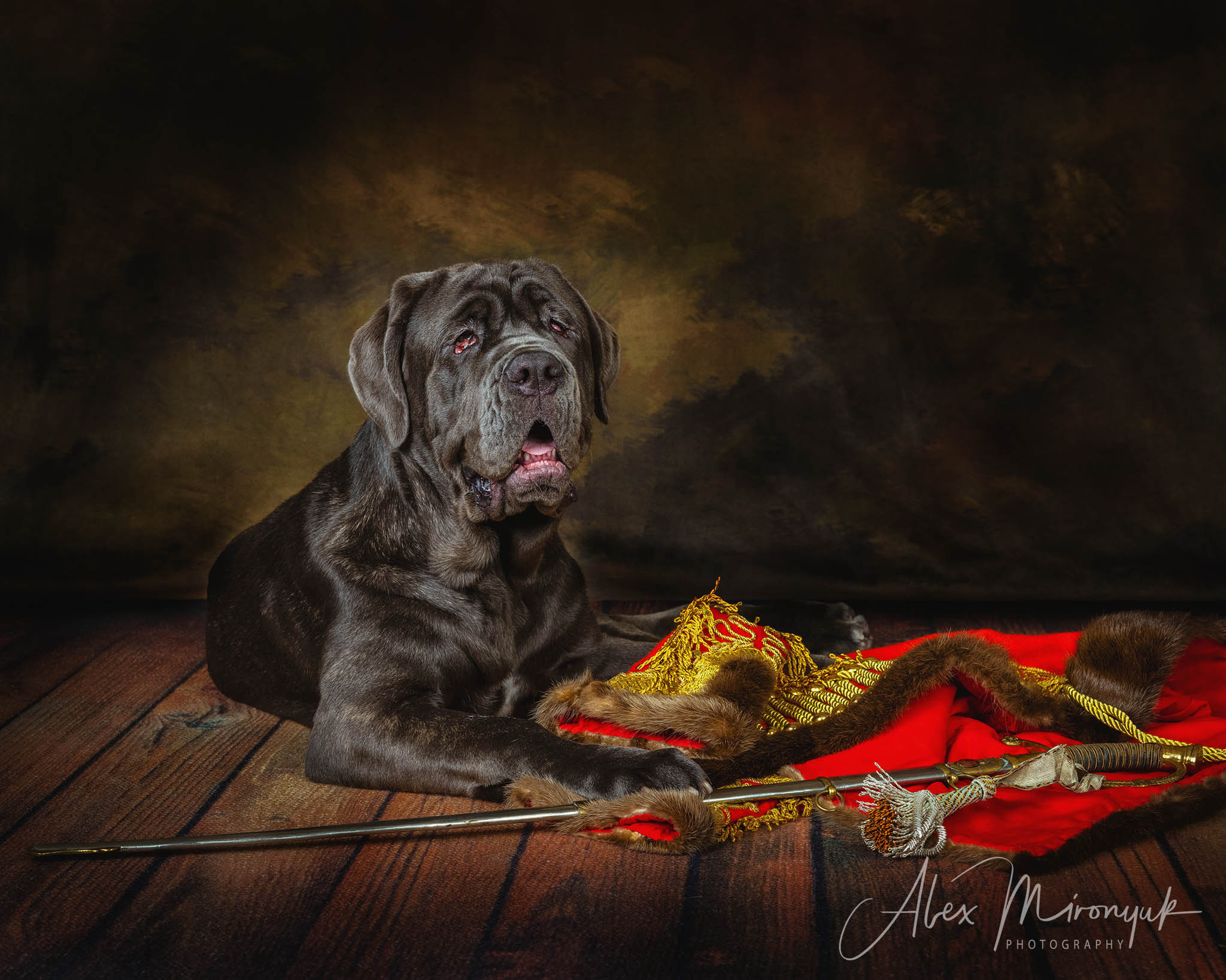 Alex Mironyuk Photography