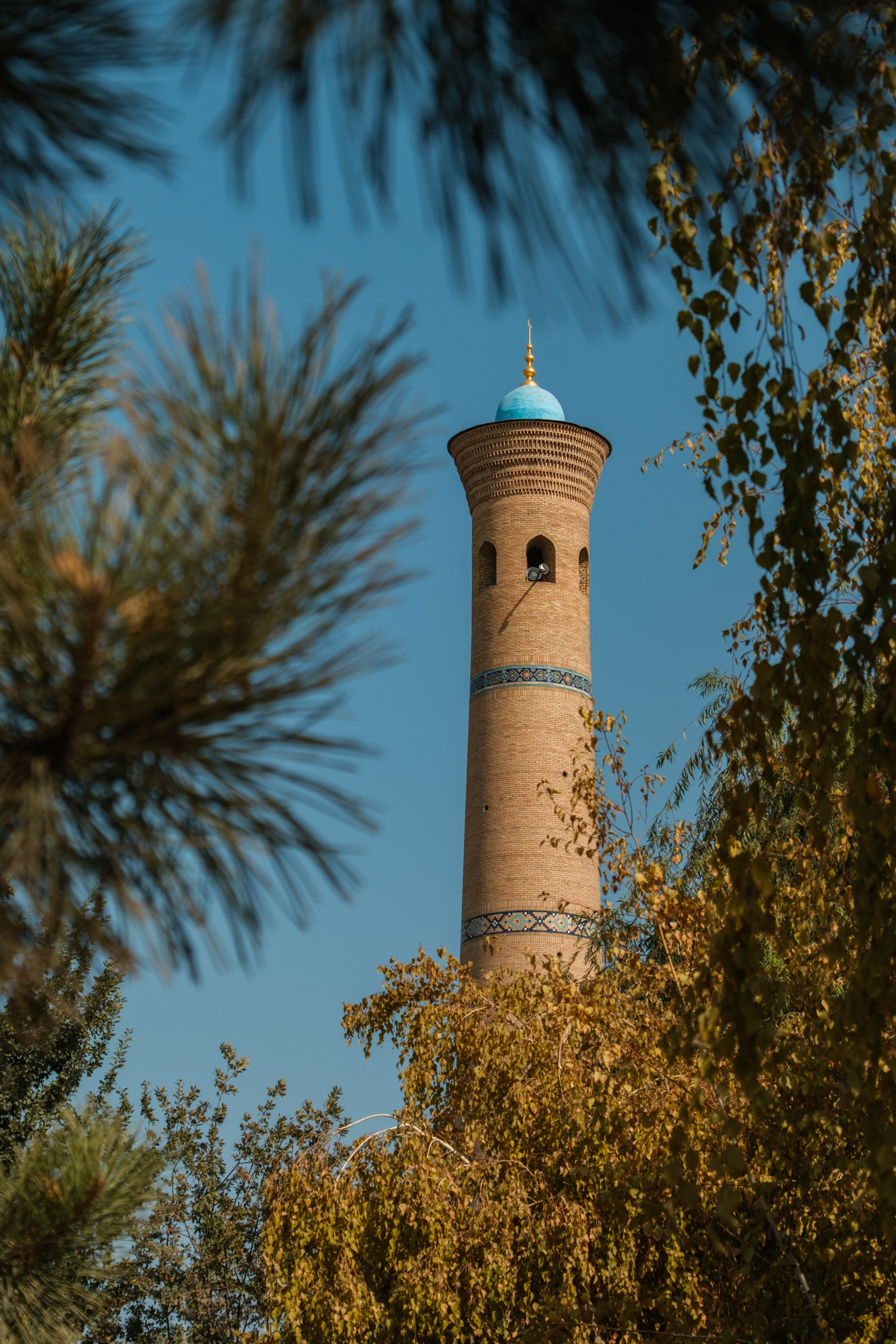 Обзор на объектив 16-300мм Sigma. Личные впечатления и опыт использования. Фотограф Григорий Кравец