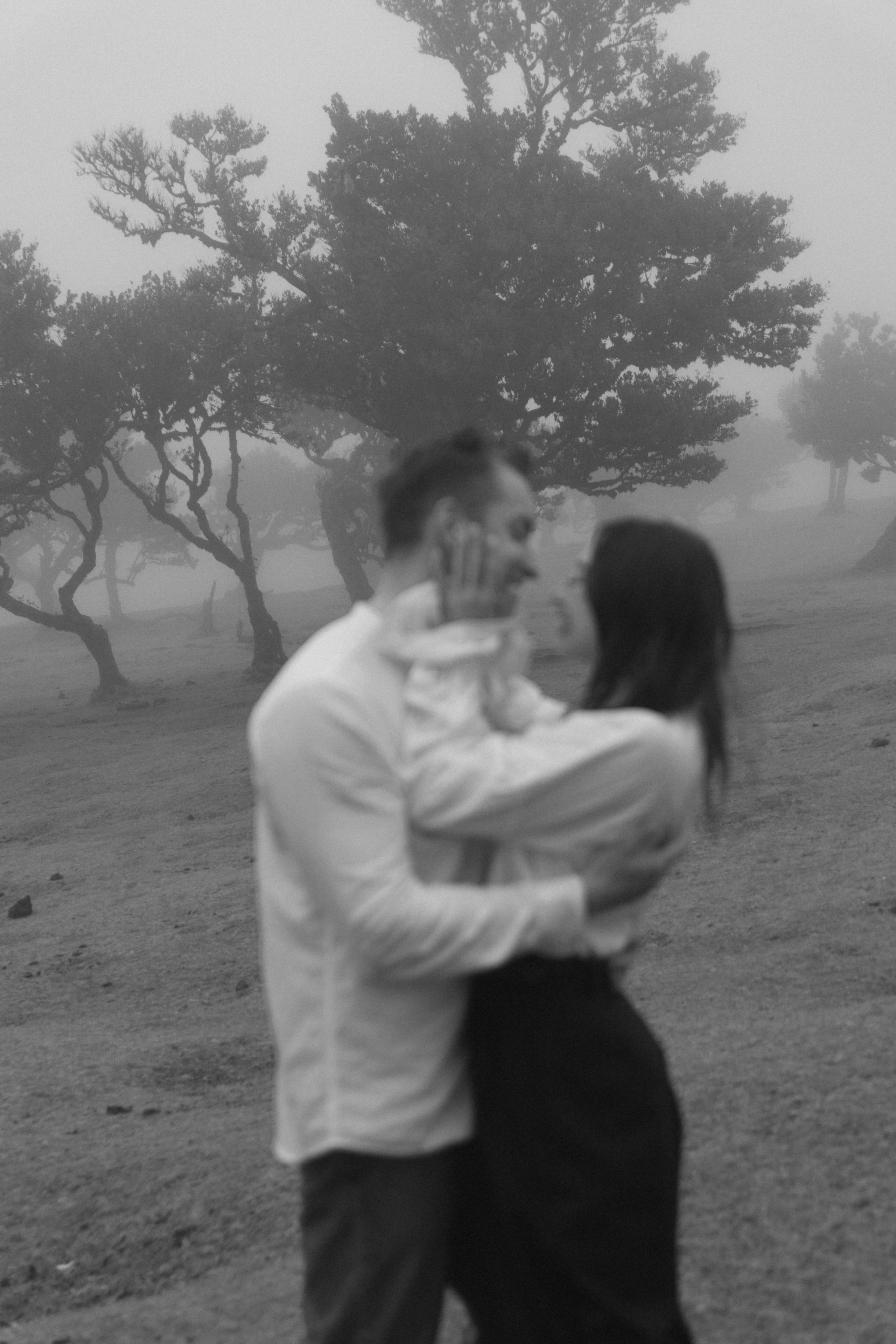 Magic of Fanal Forest. Wedding photographer and videographer based in Timisoara, Romania