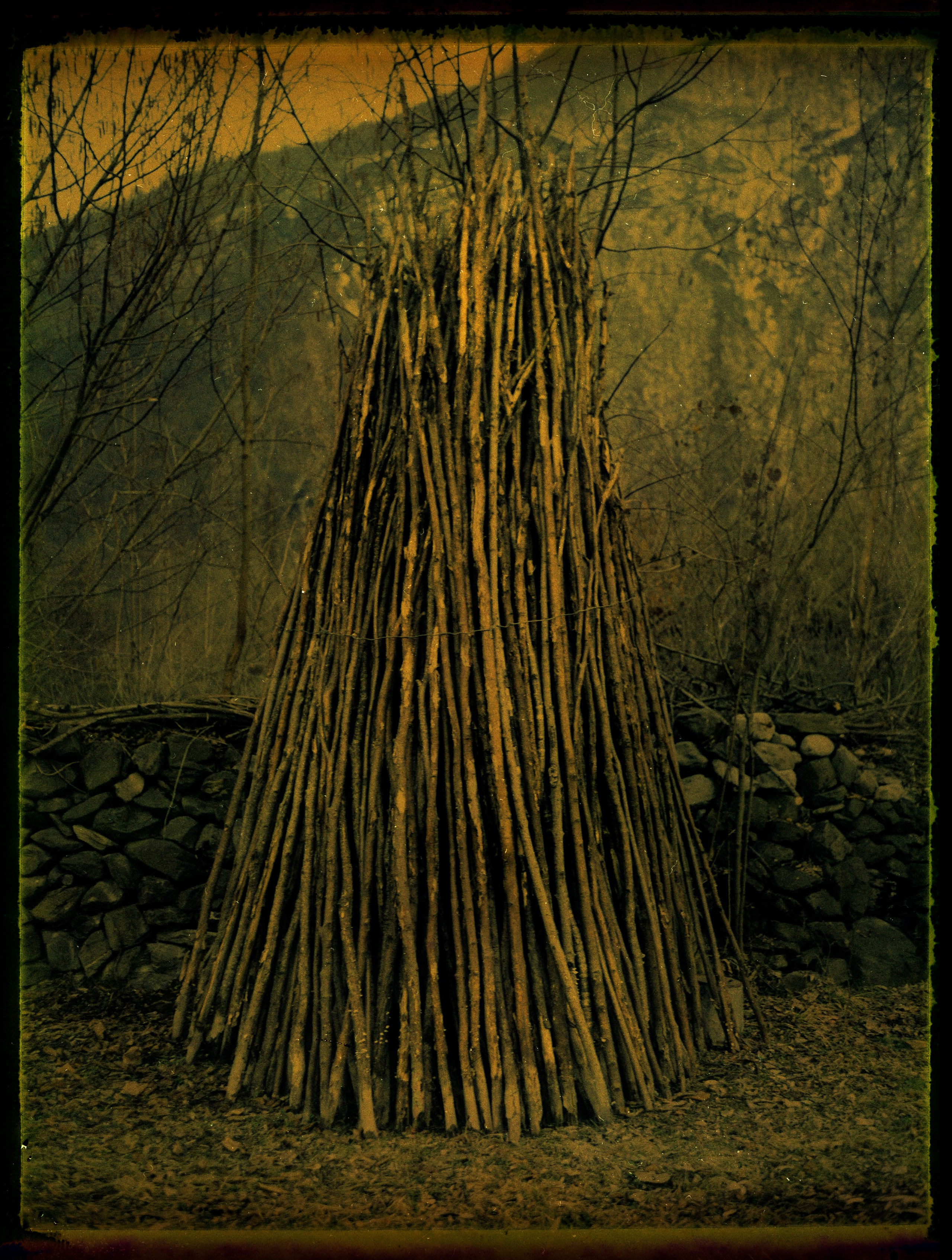 POLAROID. Www.sananaleskerov.com