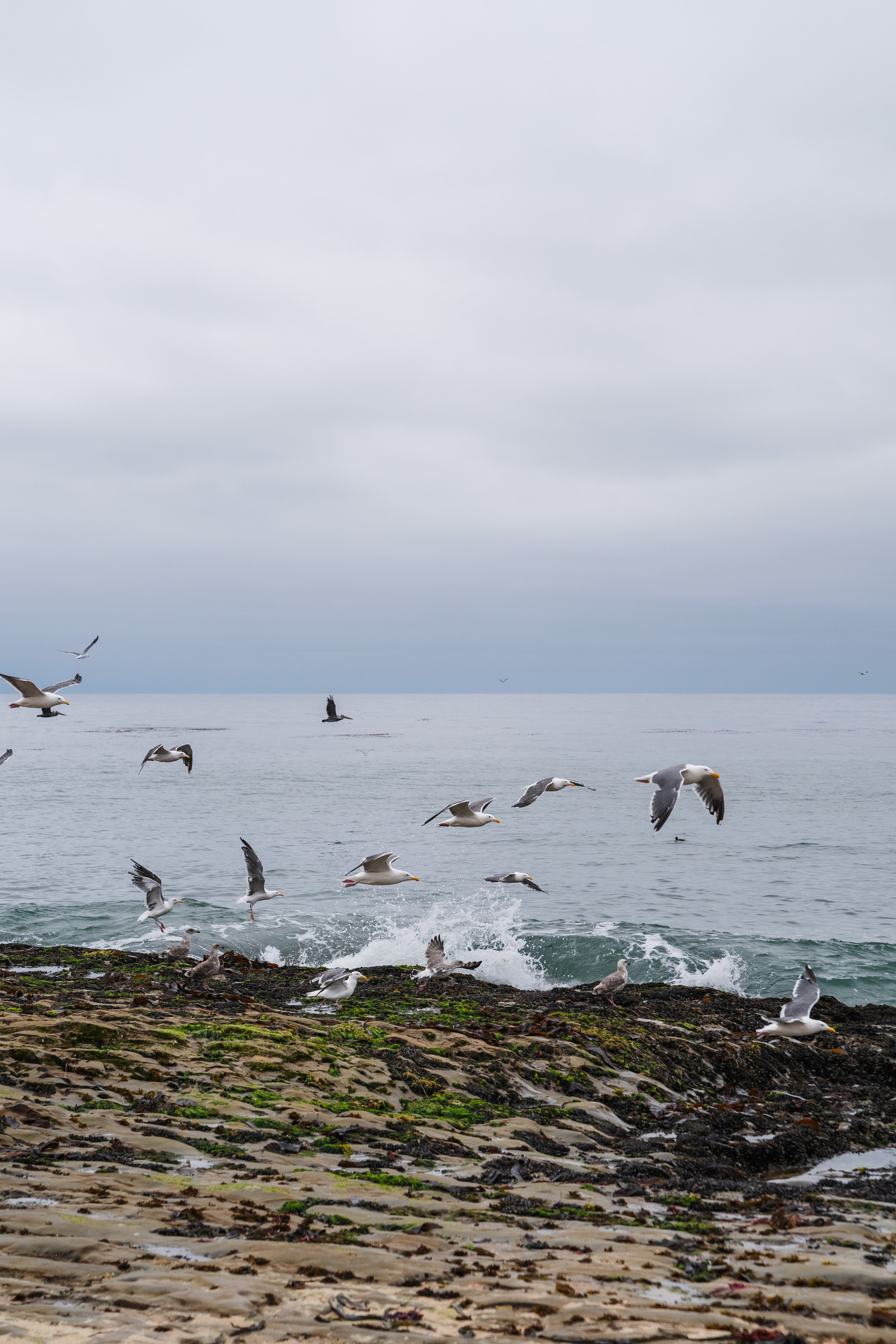 Barbarica. Photography