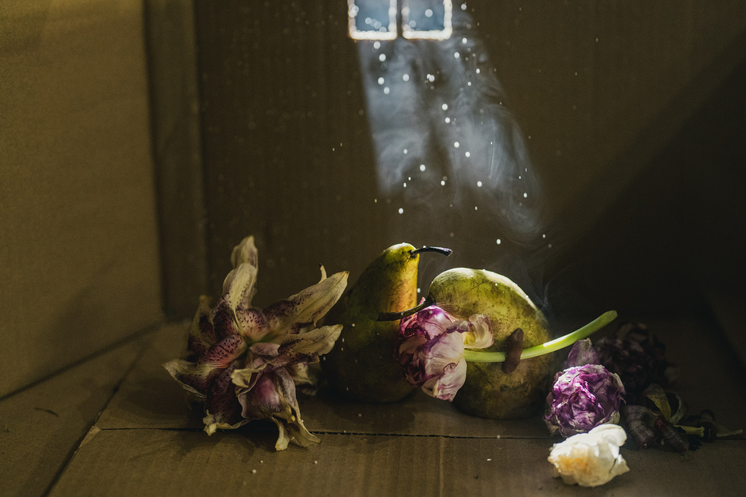 Retro Christmas Ride. Детский и семейный фотограф Анна Красовицкая