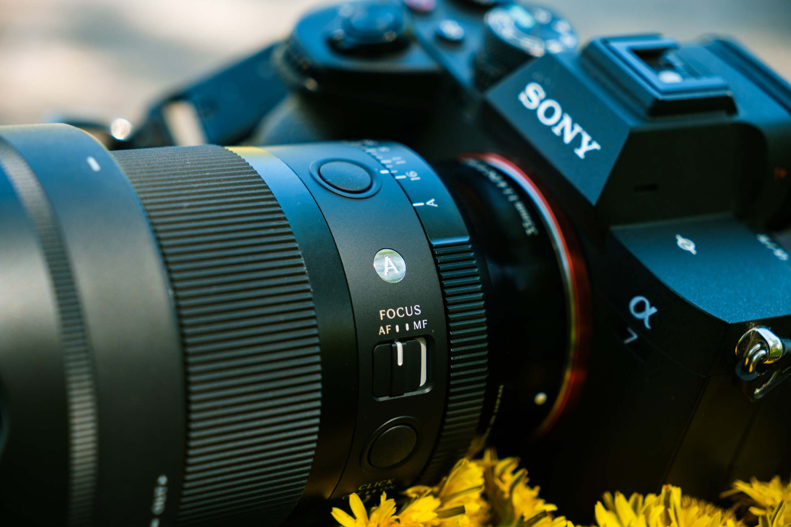 Вторая версия объектива Sigma 35 mm F1.4 DG Art. Обзор и опыт использования. Фотограф Григорий Кравец