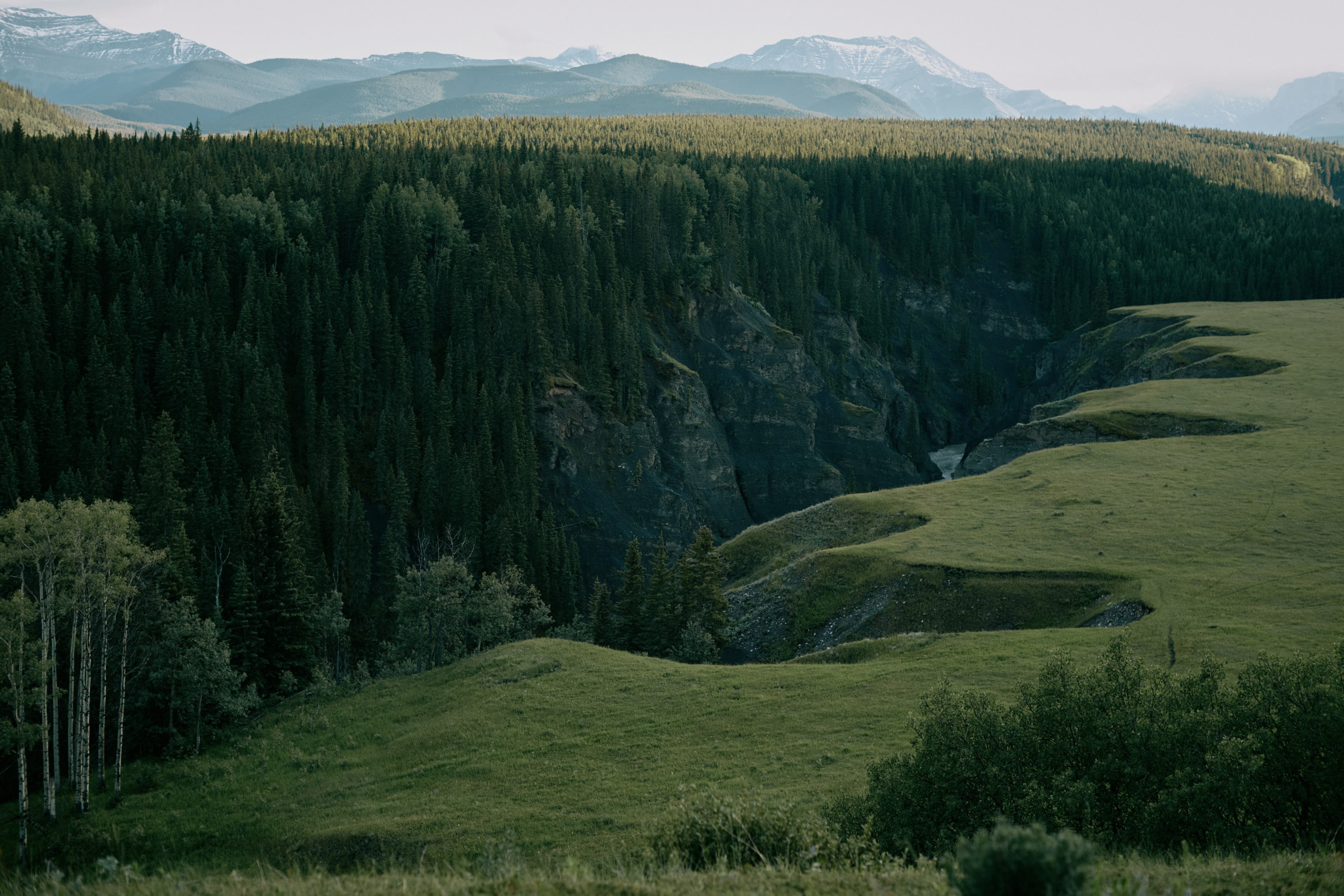 Bighorn Lookout, Kananaskis