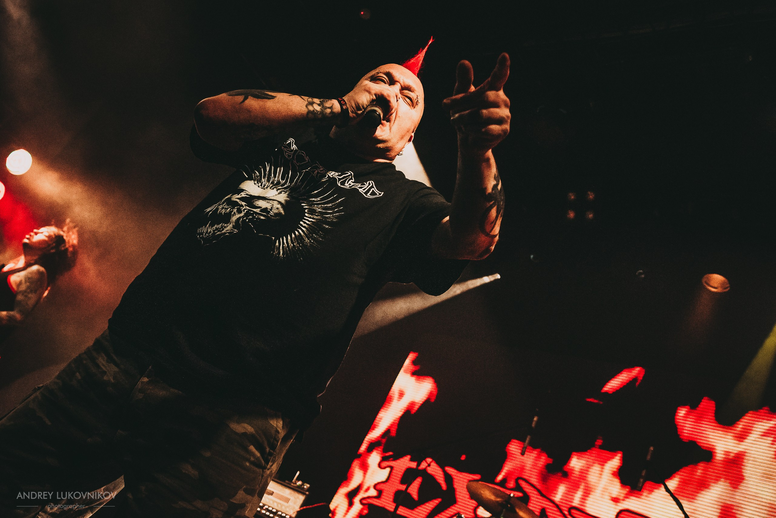 The Exploited. Tour 2017