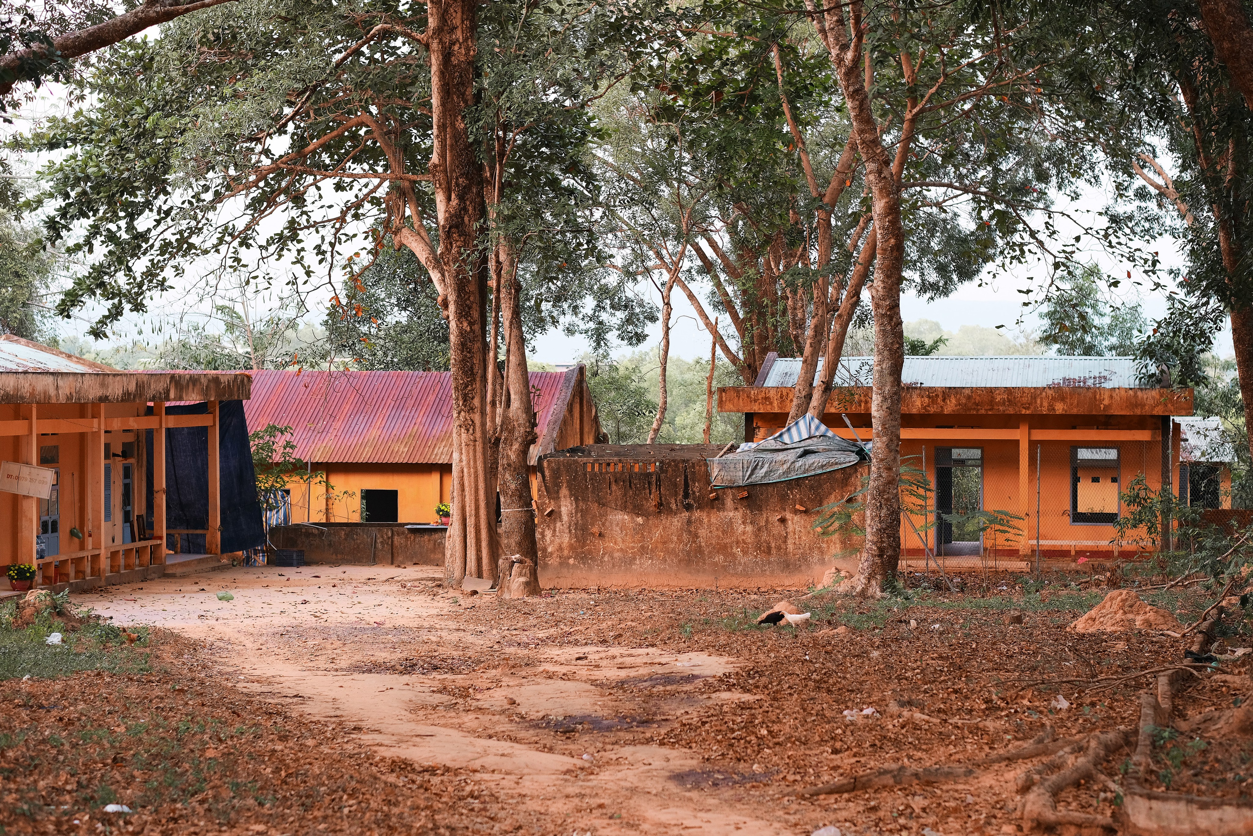 The Life of the Others | Phú Quốc 🇻🇳 |📍Vietnam. 中国街头摄影 | The Streets of China Through My Eyes | 深圳