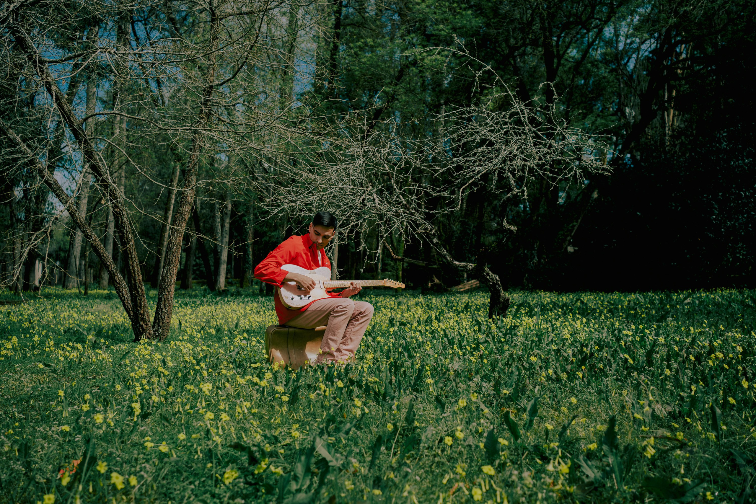 Обзор. Лило Даниелян | Visual artist