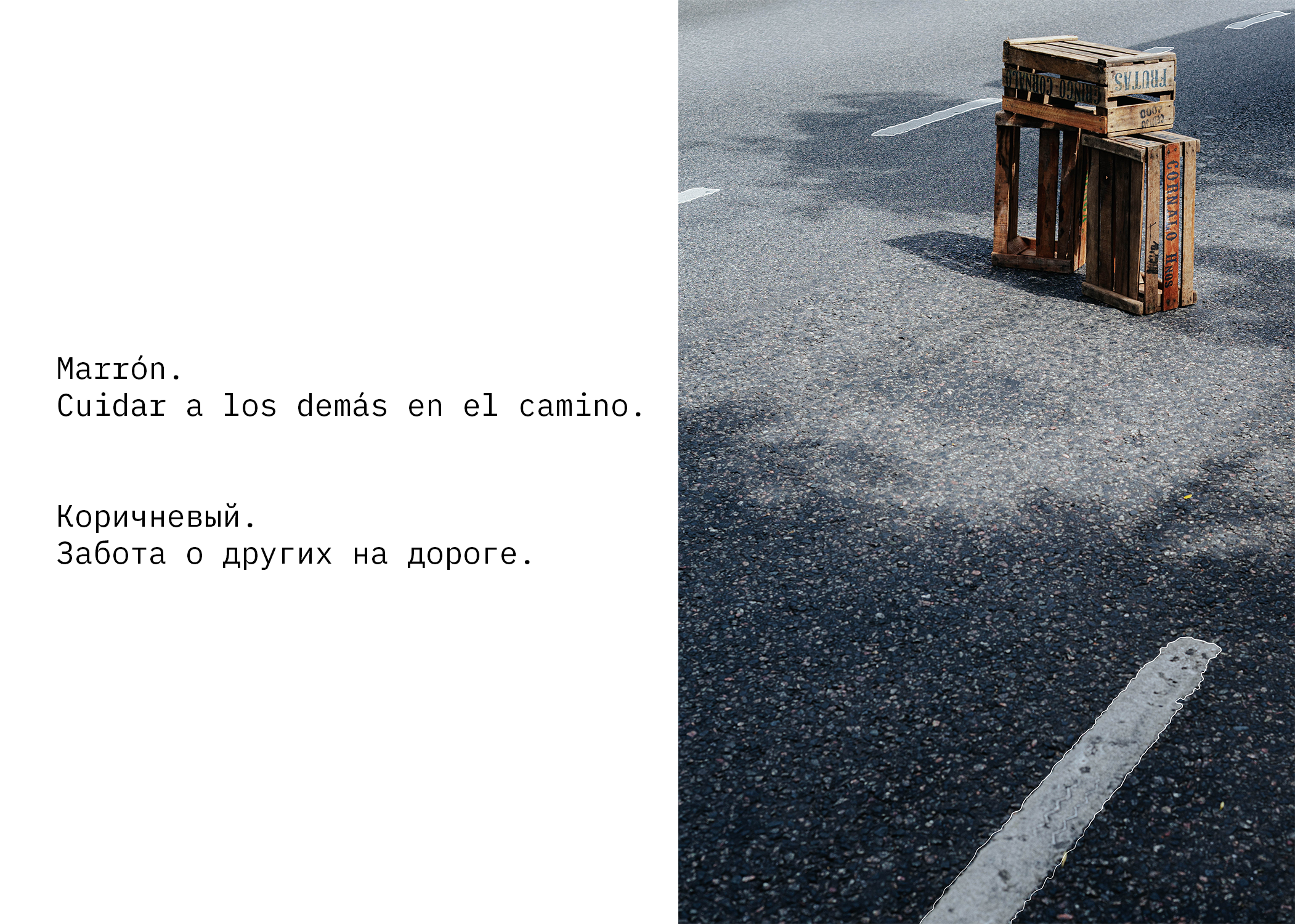 Perla. Los colores. Photographer @elmirkami in the city of Buenos Aires