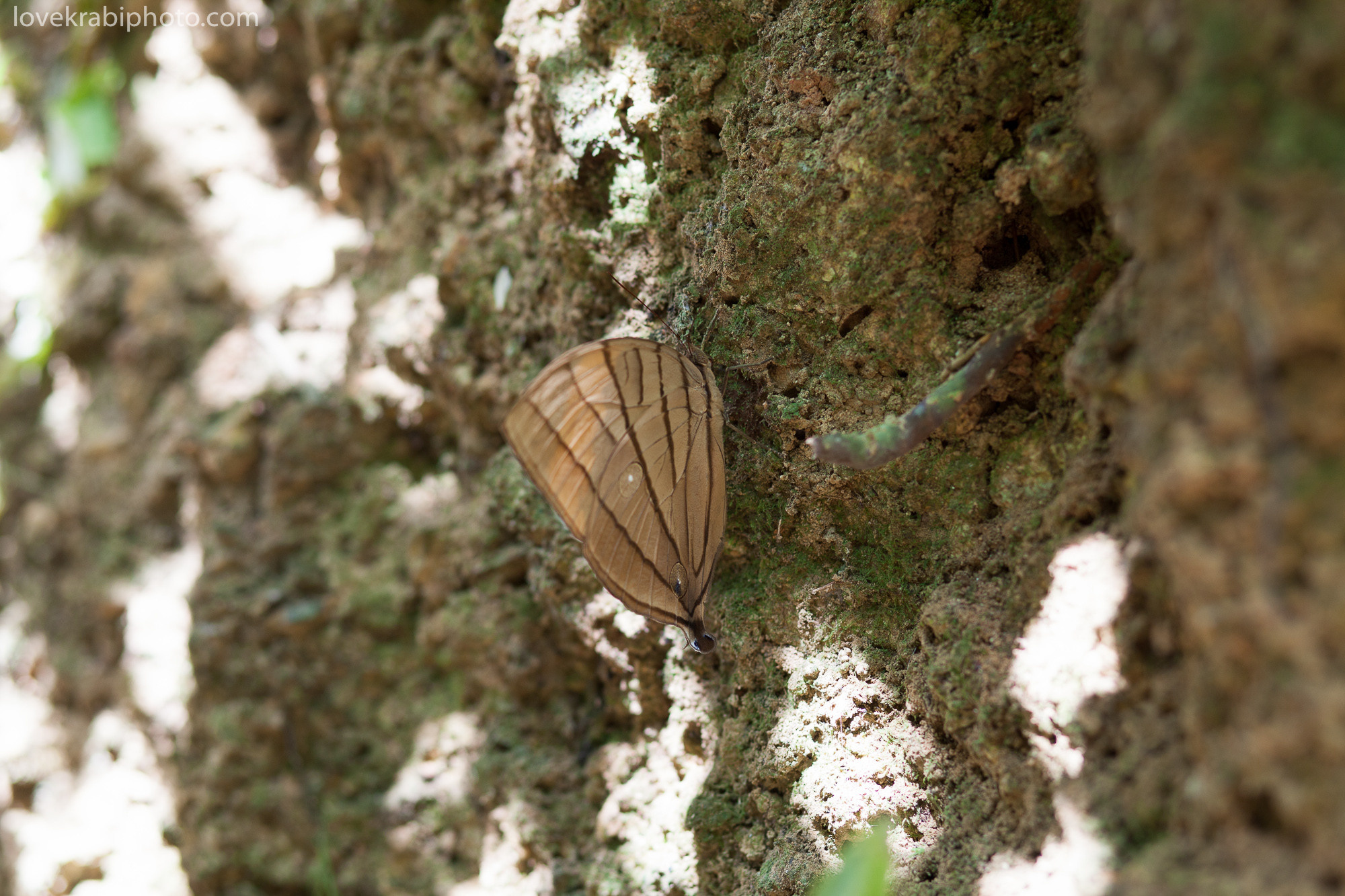 Family Tour around Krabi. Photography & Events Thailand Krabi