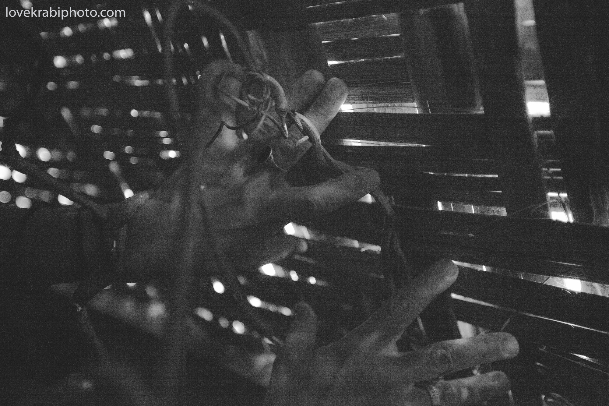 arthouse photography, thailand photographer, somatic practice, krabi yoga, kohlanta yoga, krabi artist, koh lanta artist, art community thailand, creative photosession krabi