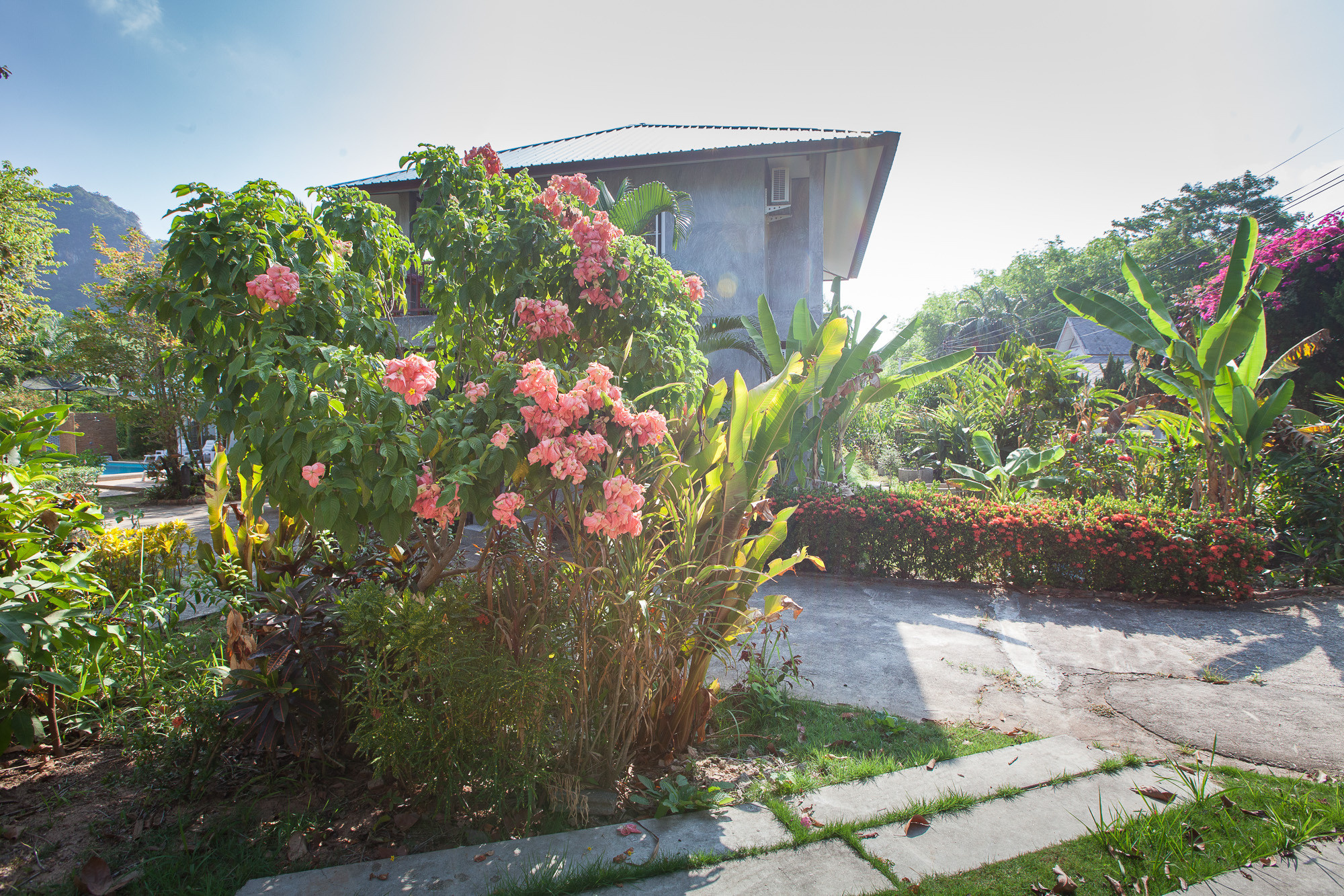 Quiet Resort Aonang Krabi. Photography & Events Thailand Krabi