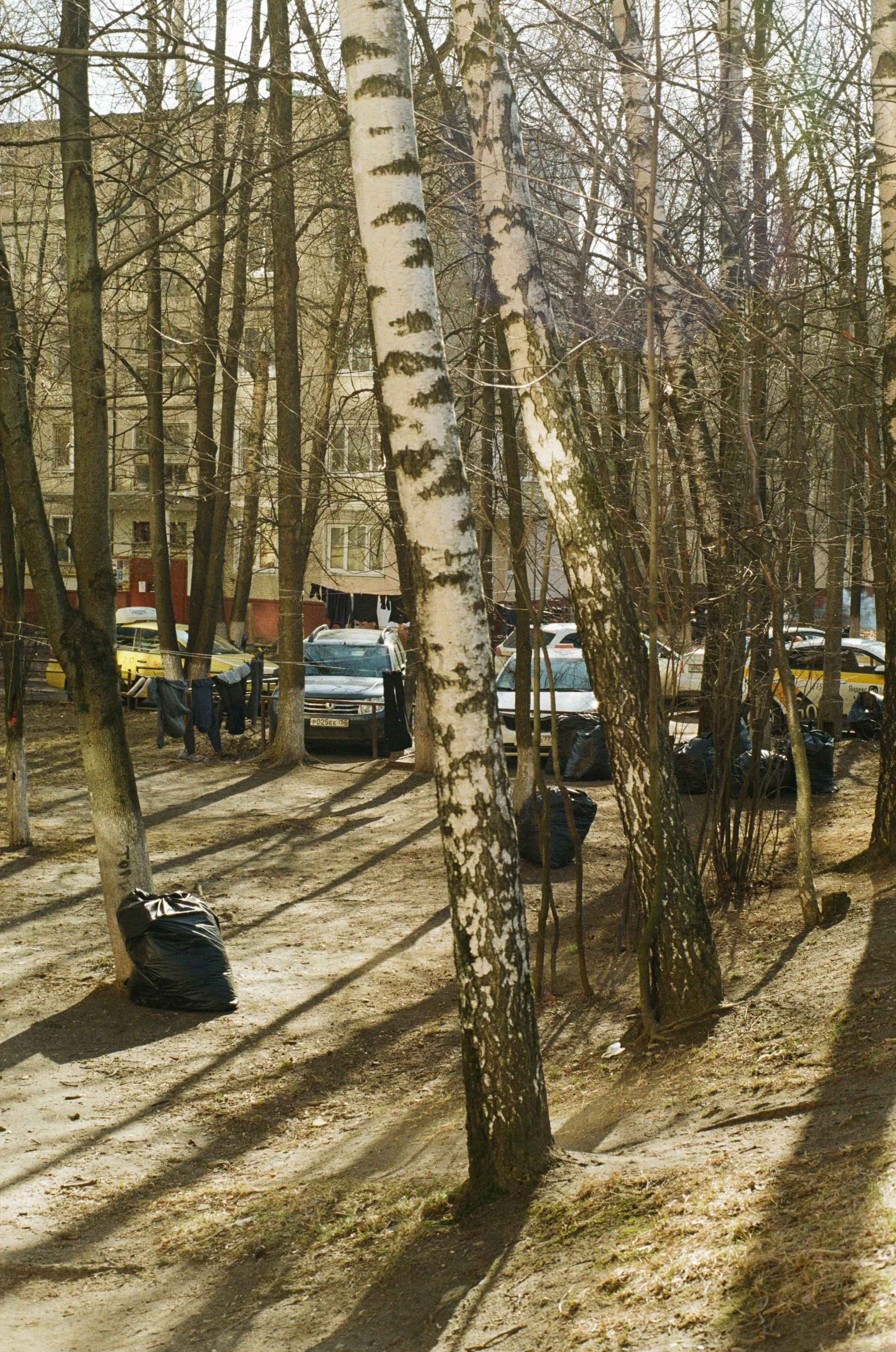 Я здесь живу. Екатерина Федорова