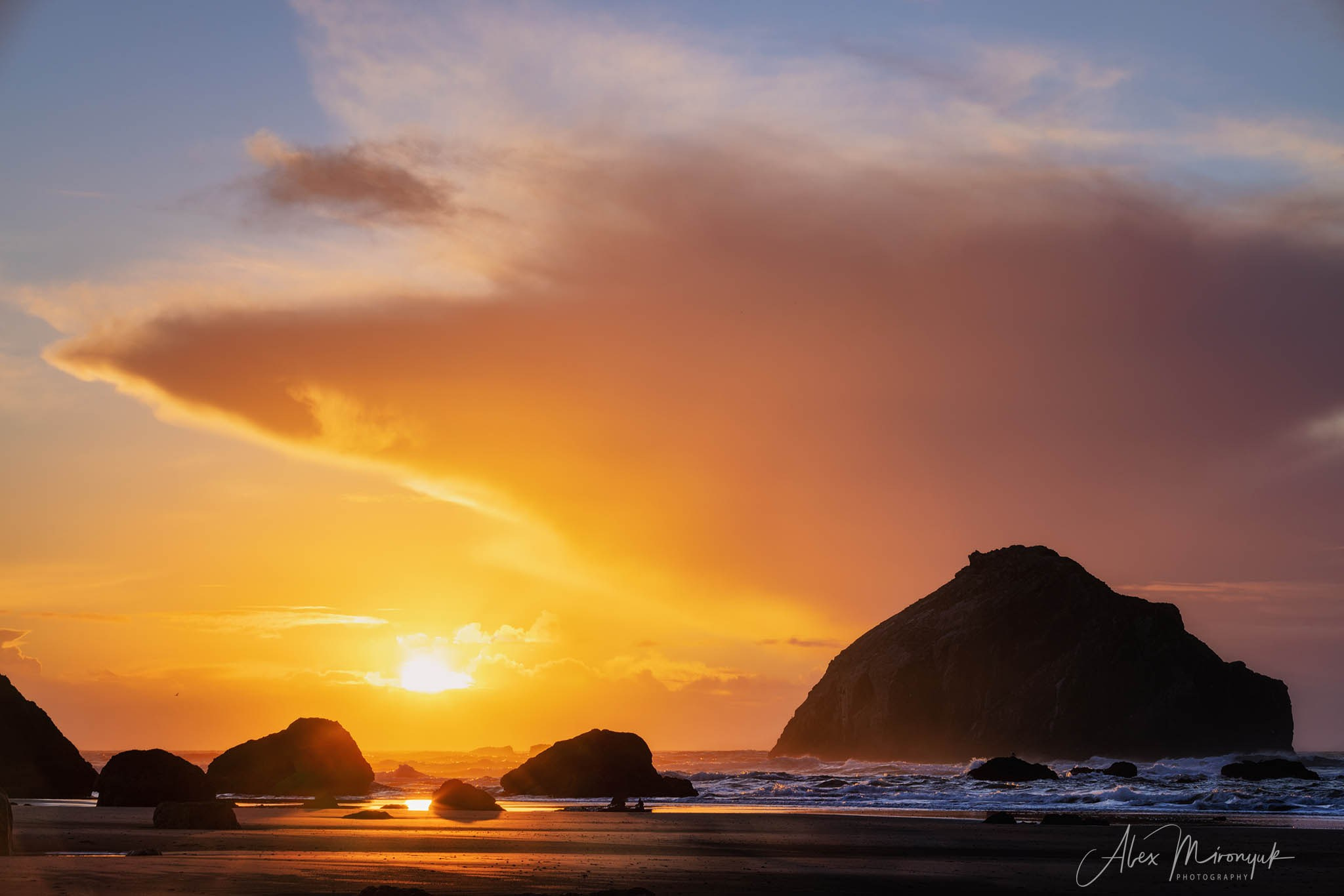 Oregon Coast Photo Workshop. Pet, Senior, Landscape, portrait studio, photographer in Miami and Sou