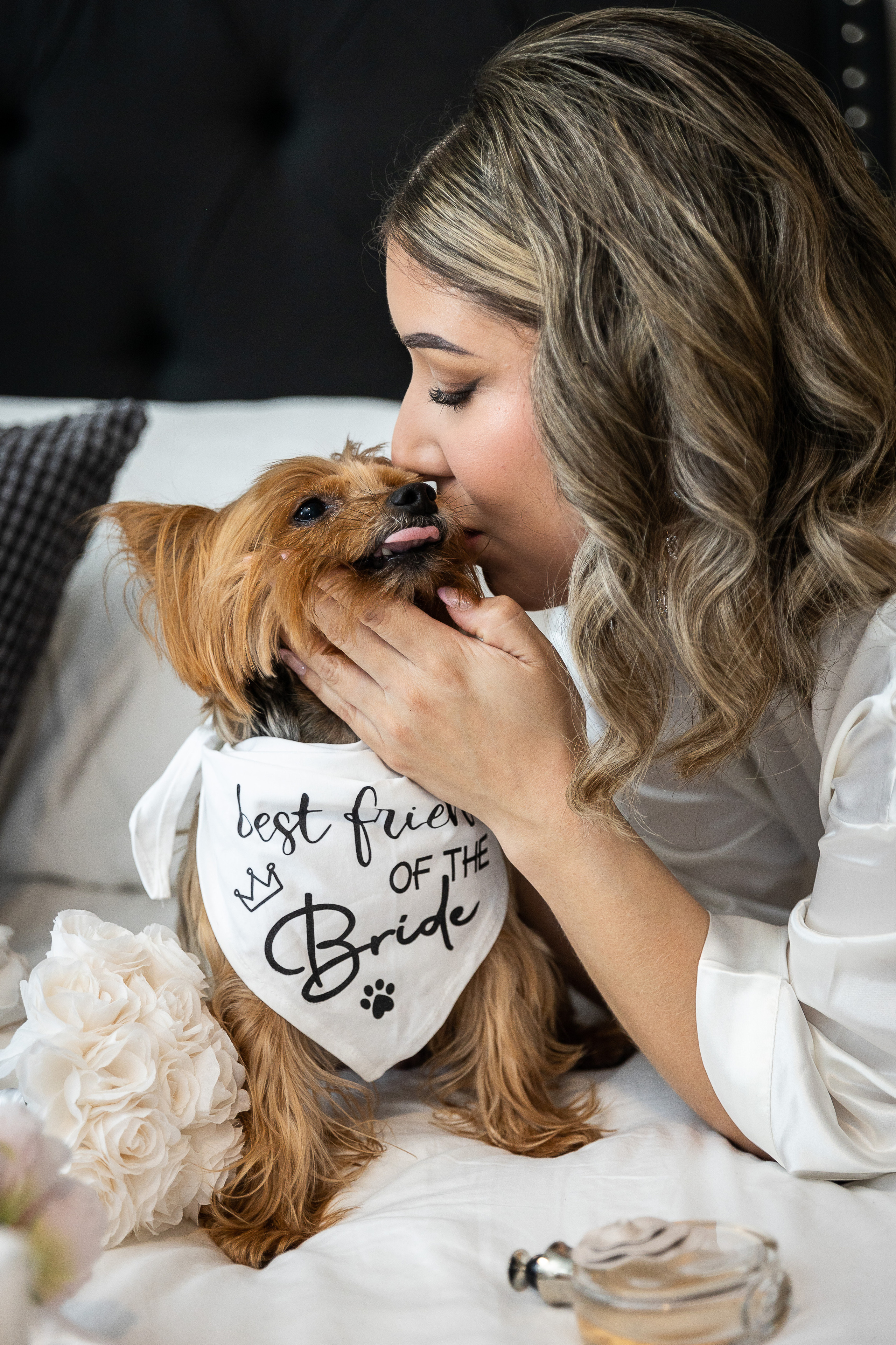 bride wedding pet dog