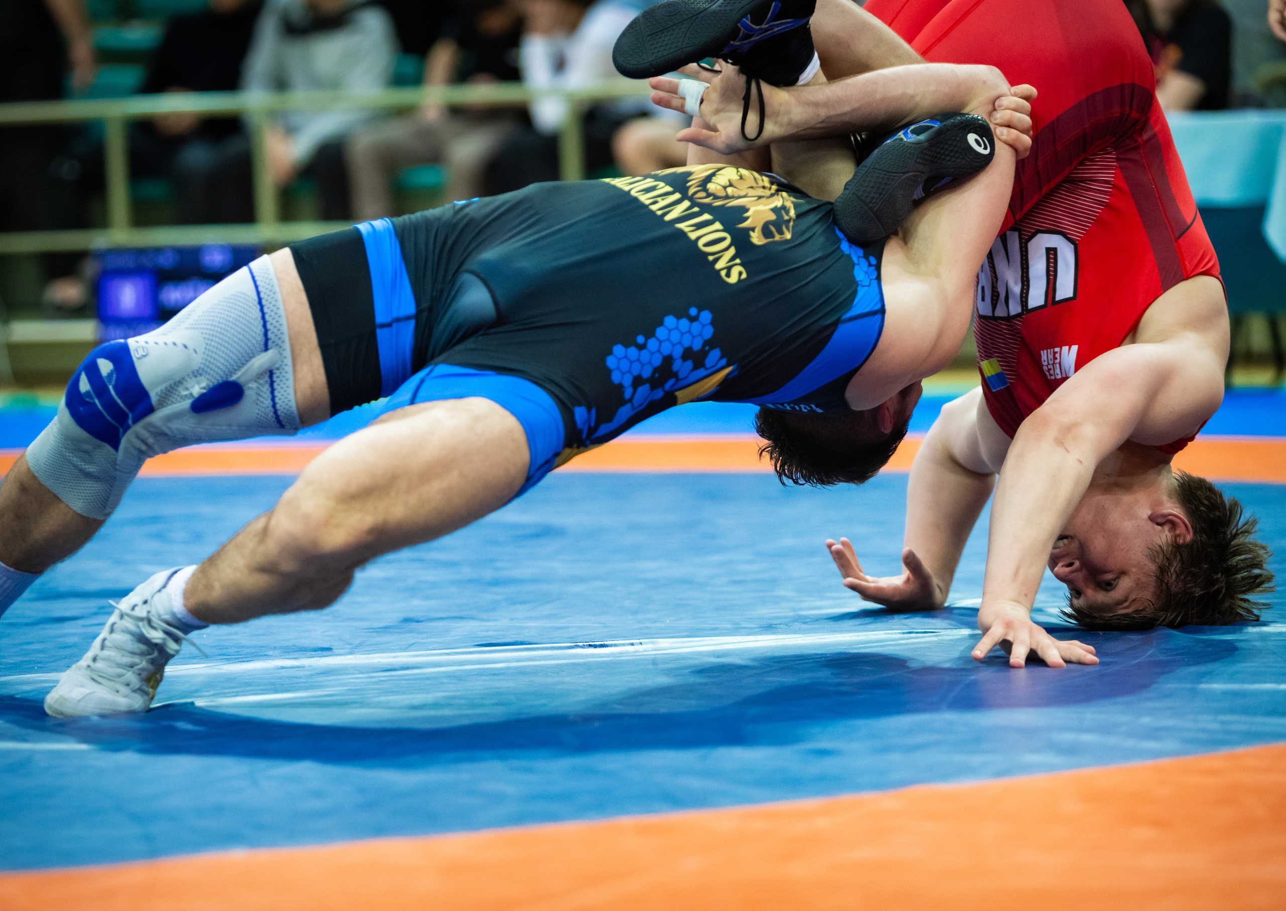 Кубок України по ГРБ та Чемпіонат України з Вільної боротьби серед дорослих 2025р. в м.Південне Одеської обл