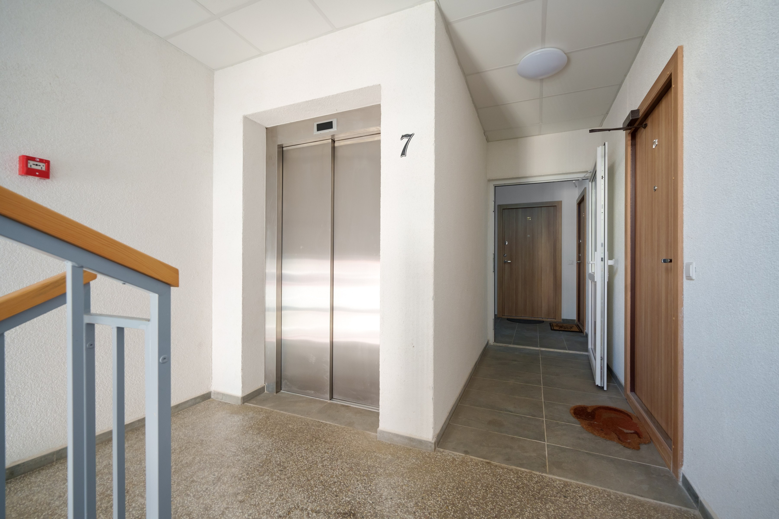 Leičių g. 11. Elina Sapiega fotografė Vilniuje