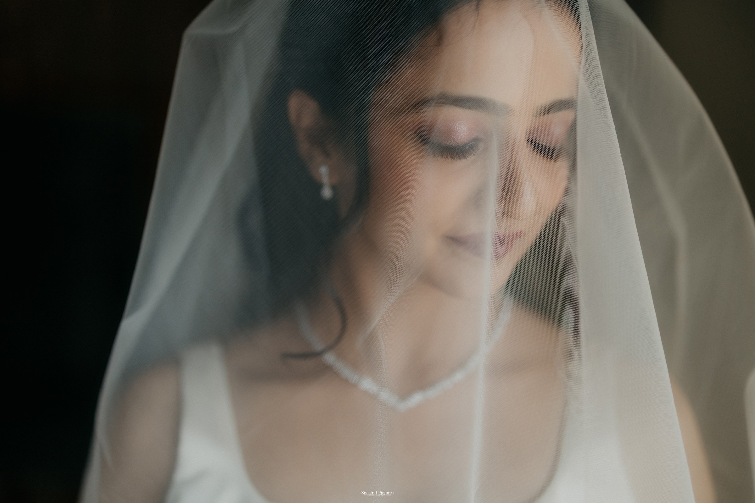 Edward & Shanon. Spectral Pictures