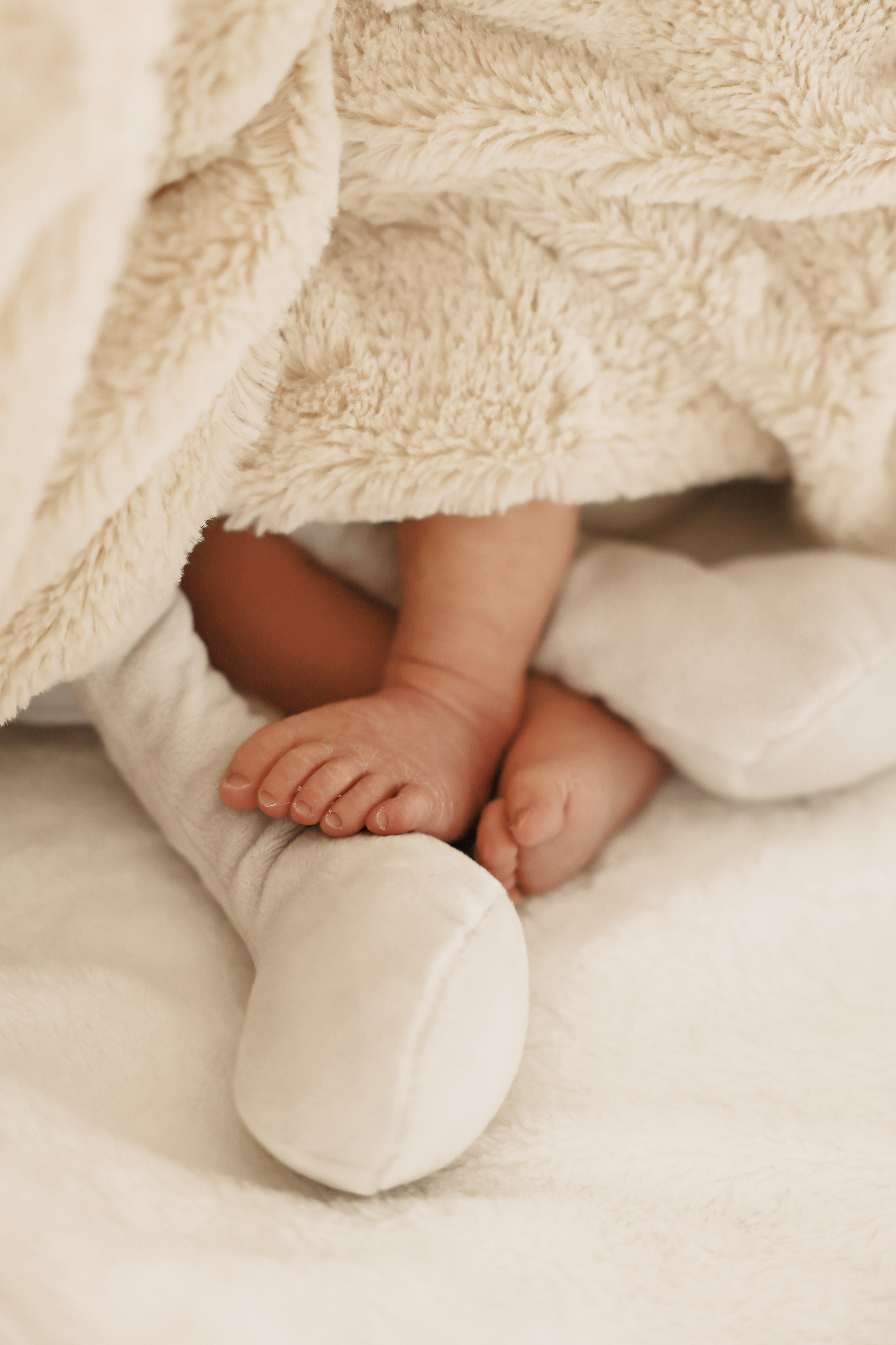 Portrait and Family Photographer in Netherlands