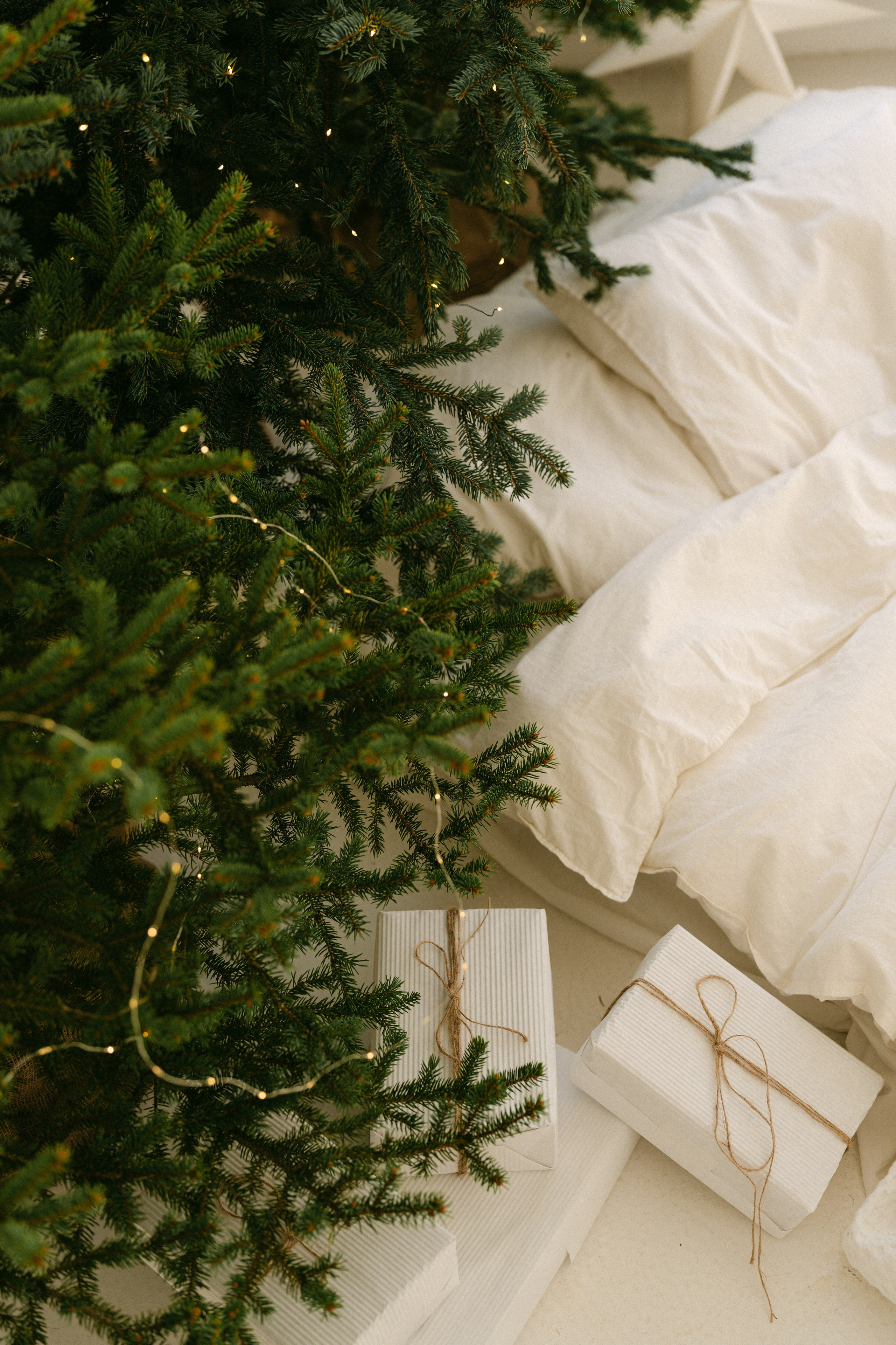 Студії новорічні. Весільний, сімейний фотограф Варшава