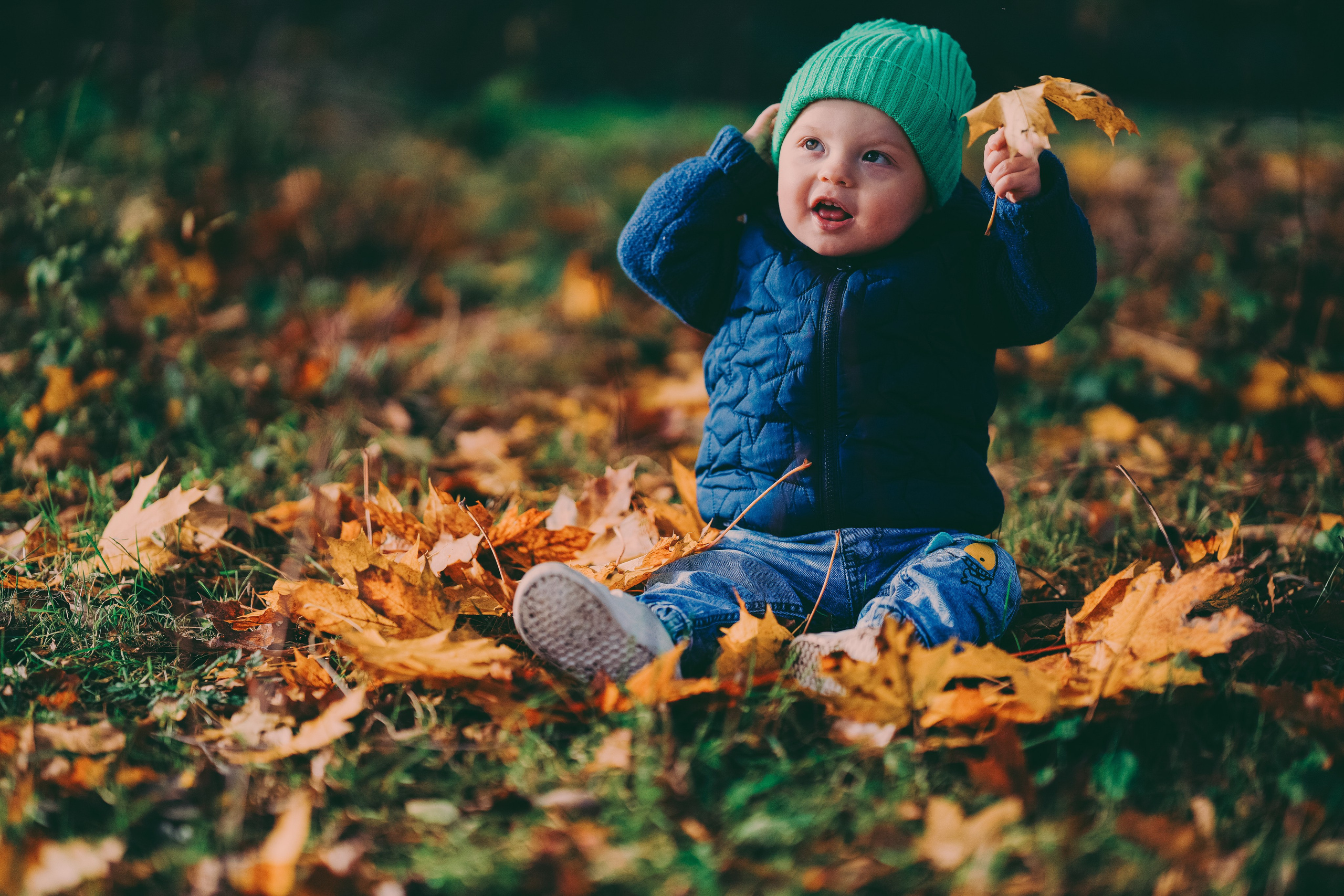 Family photo shoot in Brueton park
