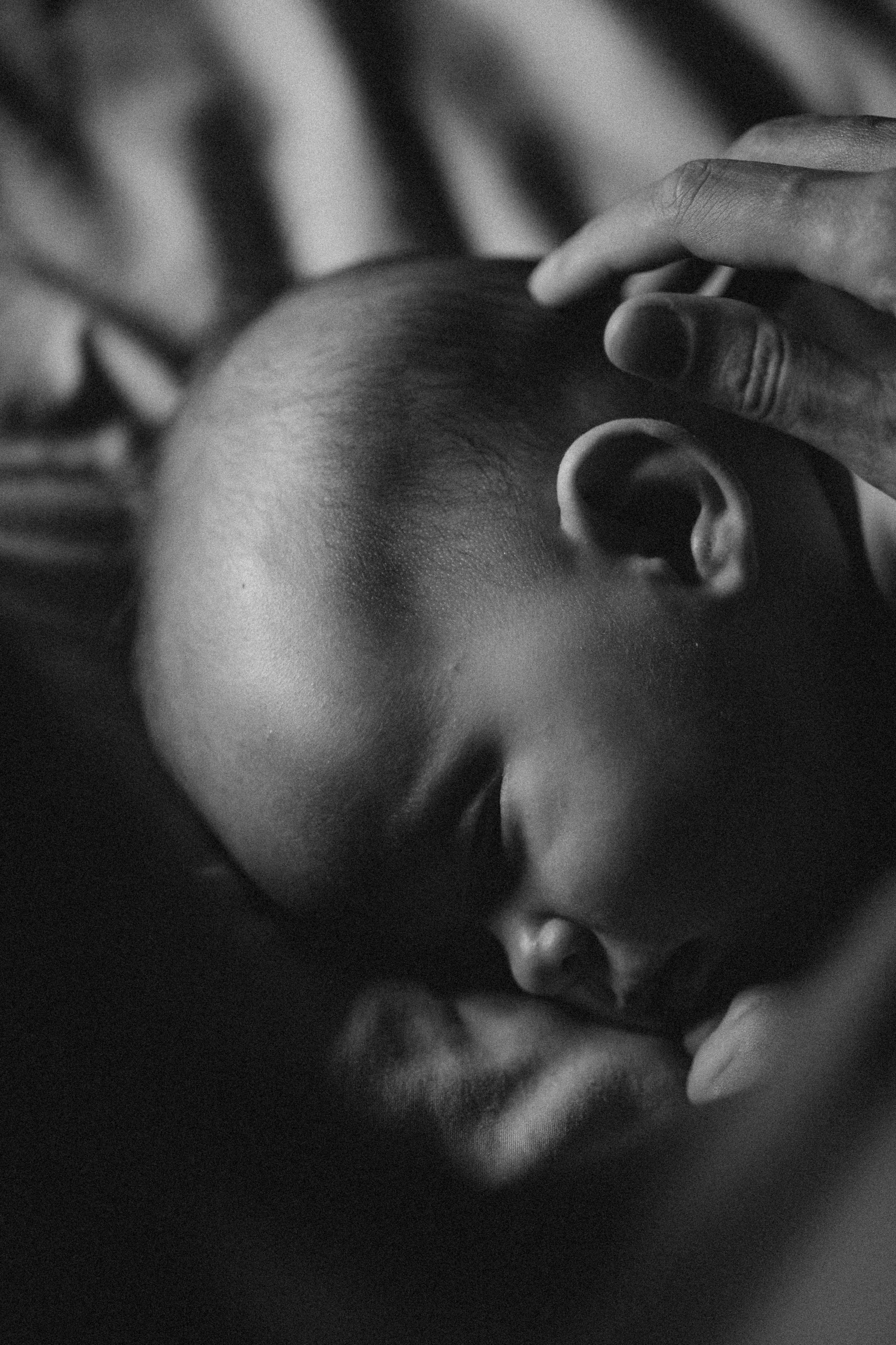 Fotografa documental de familia e nascimento em Florianópolis SC Daria Ermolaev