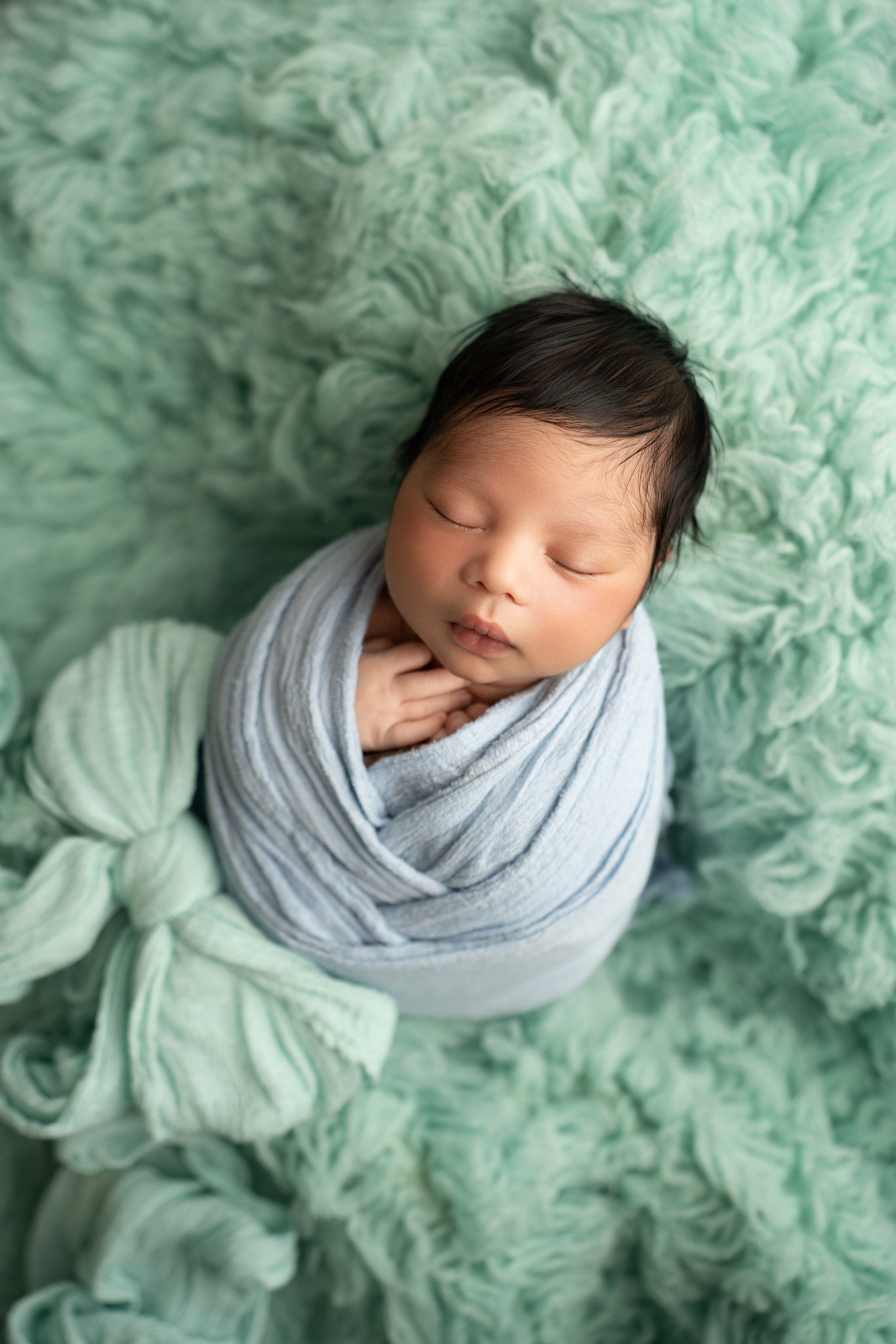 Posed Newborn. Maternity, family and newborn photography in San Francisco Bay Area