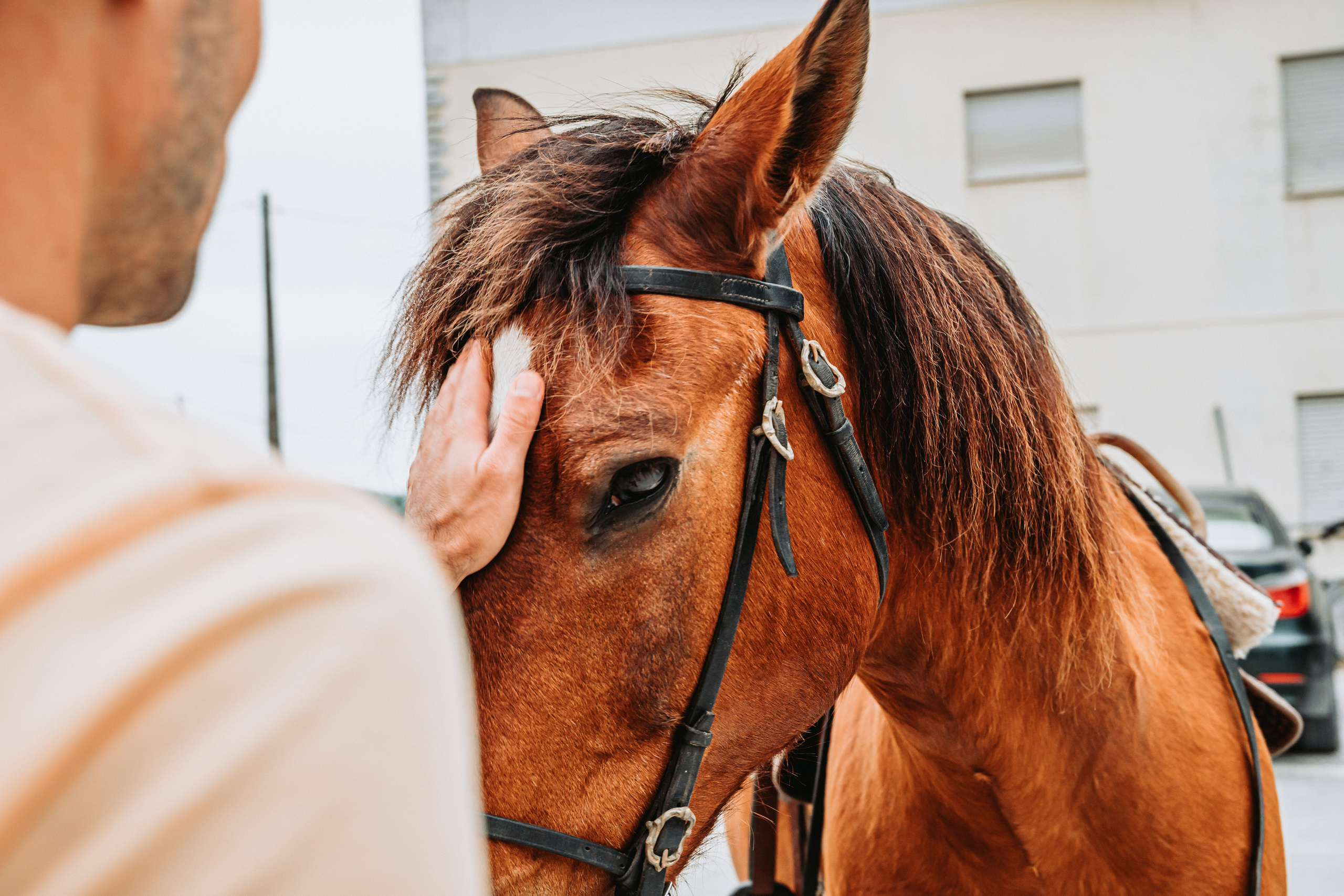 Momento a Dois com Pedido de Casamento. Fotografia e Filmes de Casamento de Luxo | Portugal & Destination Weddings | Ricardo & Mary Pictures