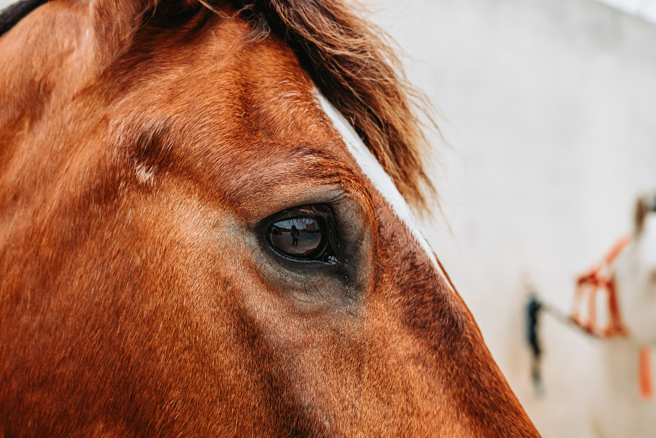 Momento a Dois com Pedido de Casamento. Fotografia e Filmes de Casamento de Luxo | Portugal & Destination Weddings | Ricardo & Mary Pictures